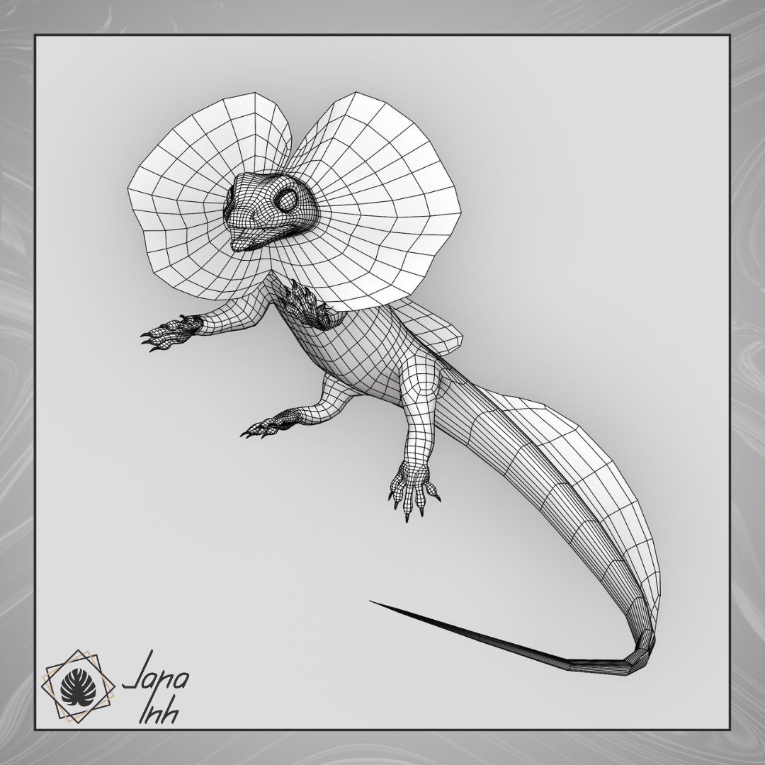 Frilled Lizard Follower