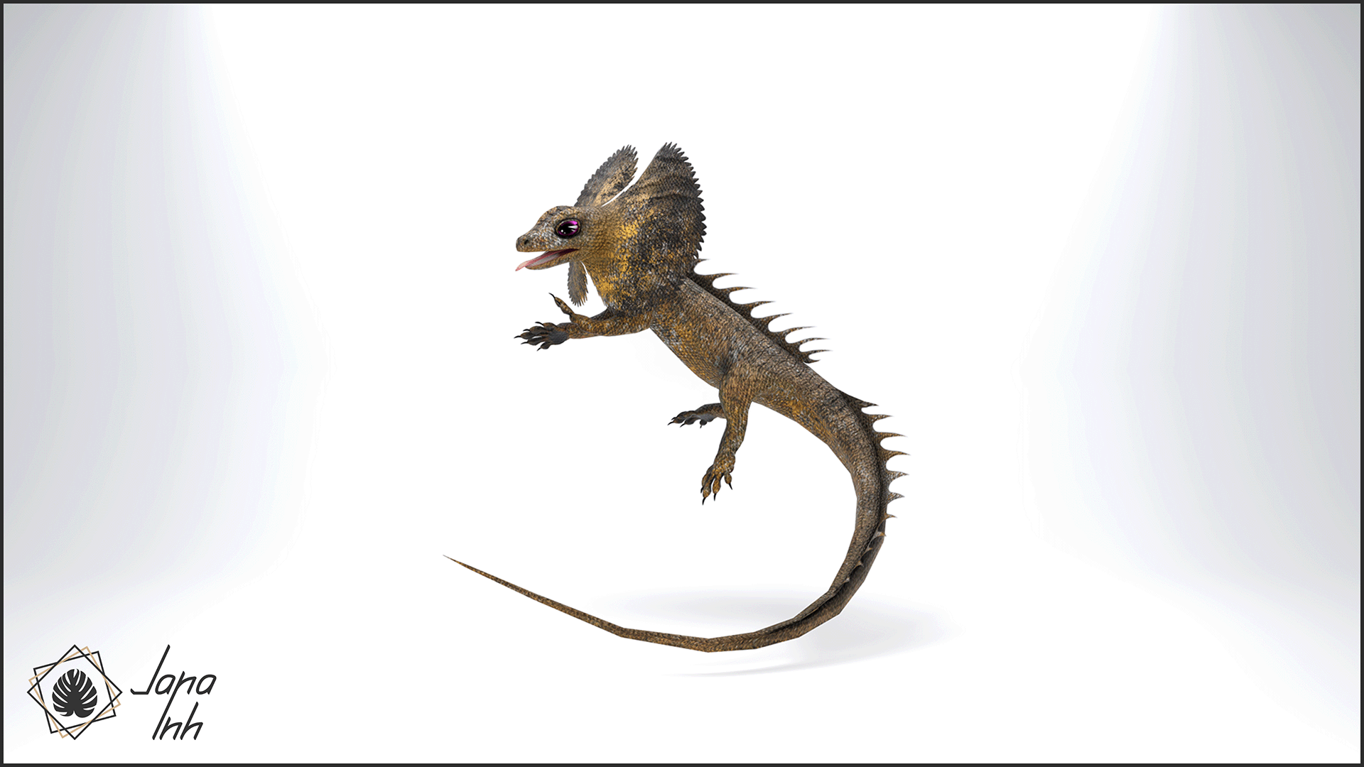 Frilled Lizard Follower