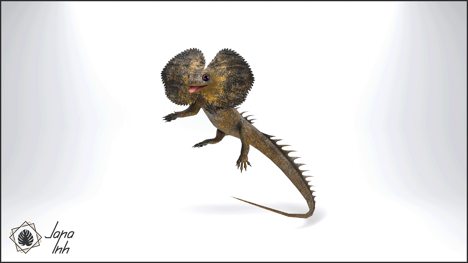 Frilled Lizard Follower