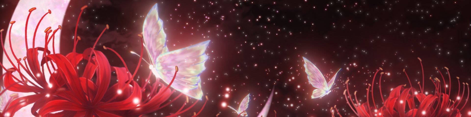 Banner Background