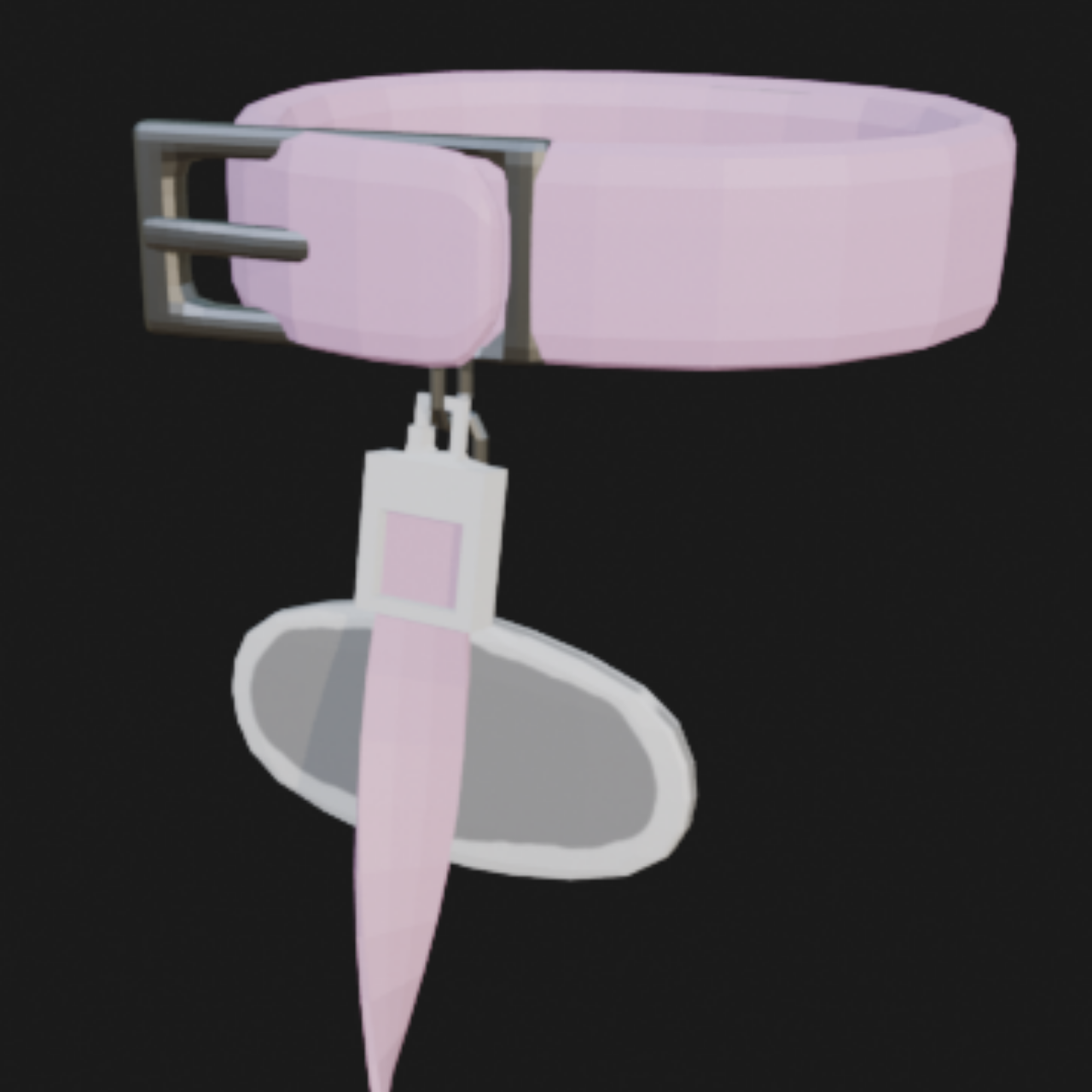 Simple Collar and Leash