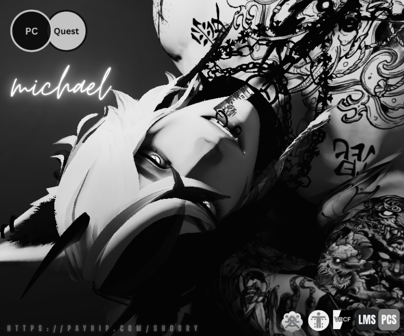 Michael ⚝「PC/QUEST/SPS」