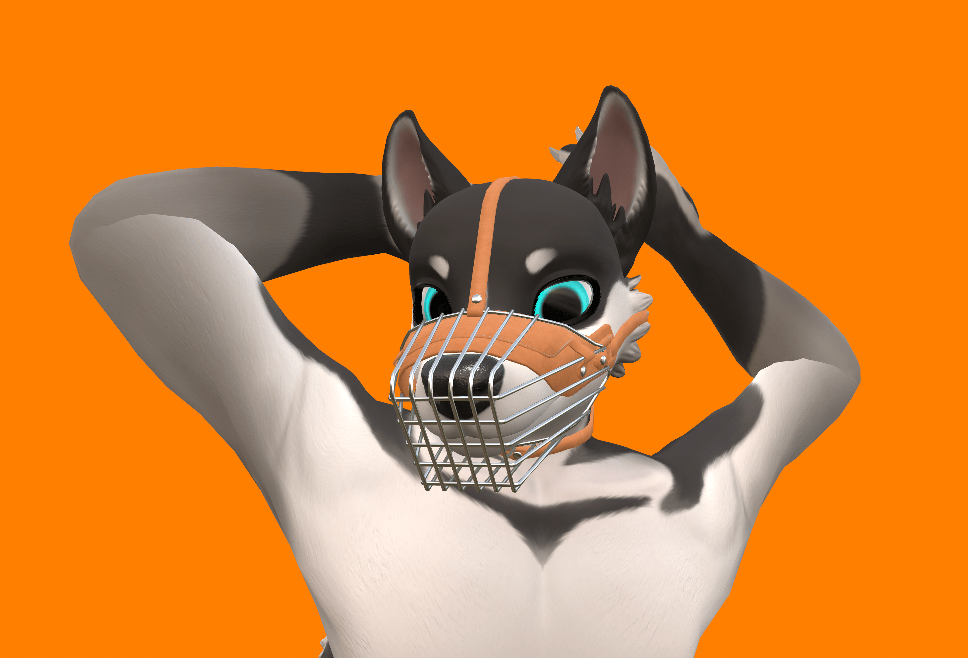 Harness & Muzzle for Chaos Canine