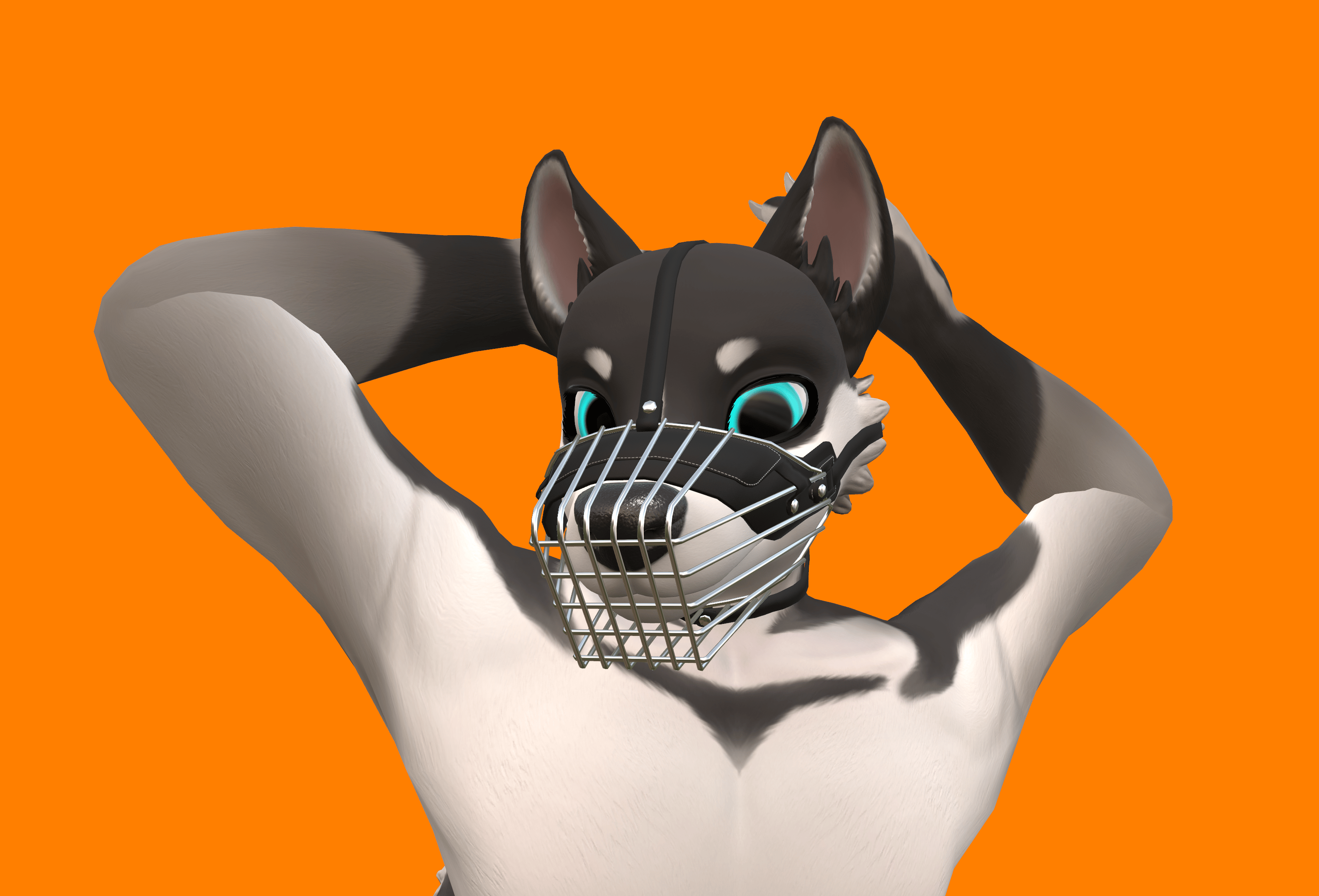 Harness & Muzzle for Chaos Canine