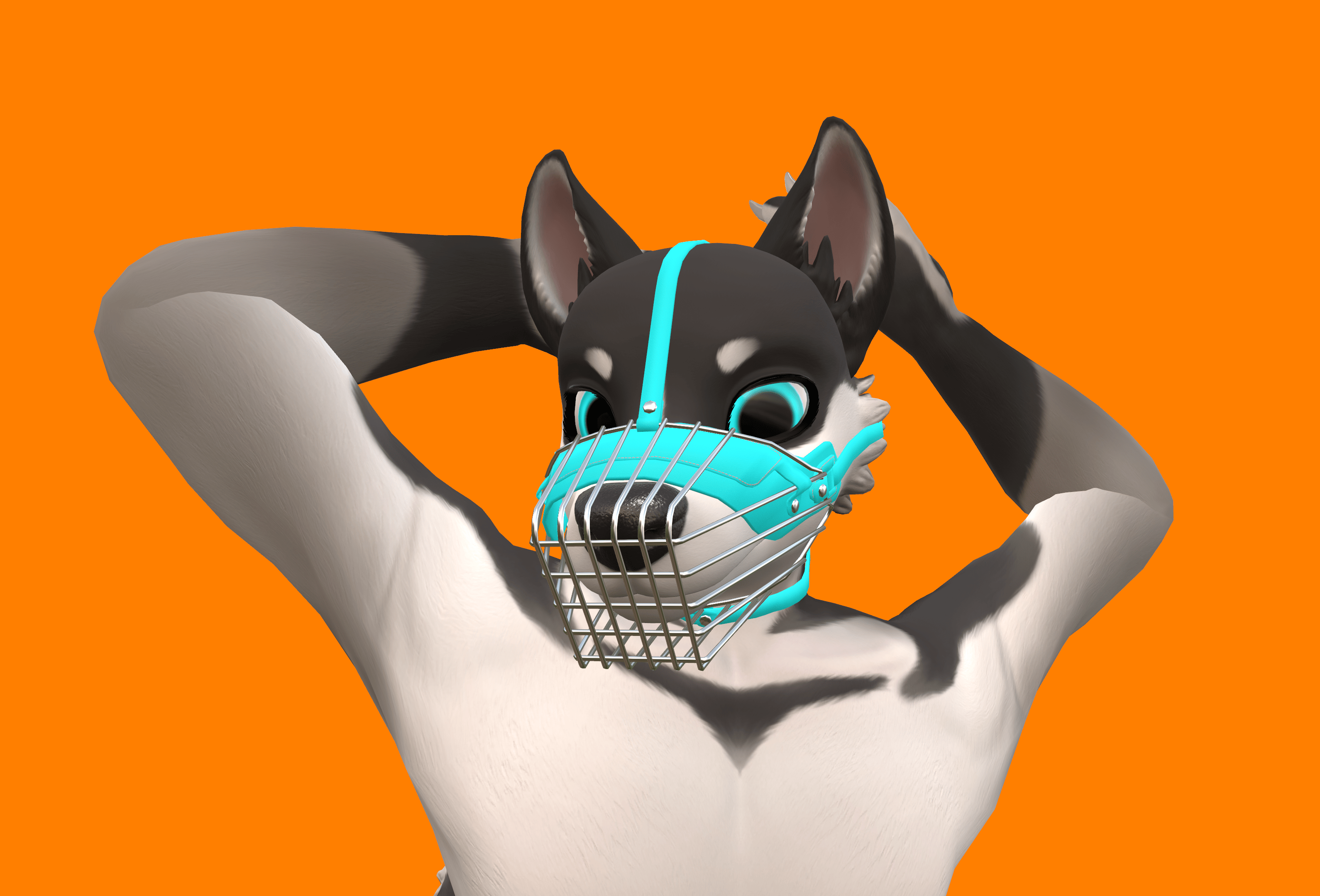 Harness & Muzzle for Chaos Canine