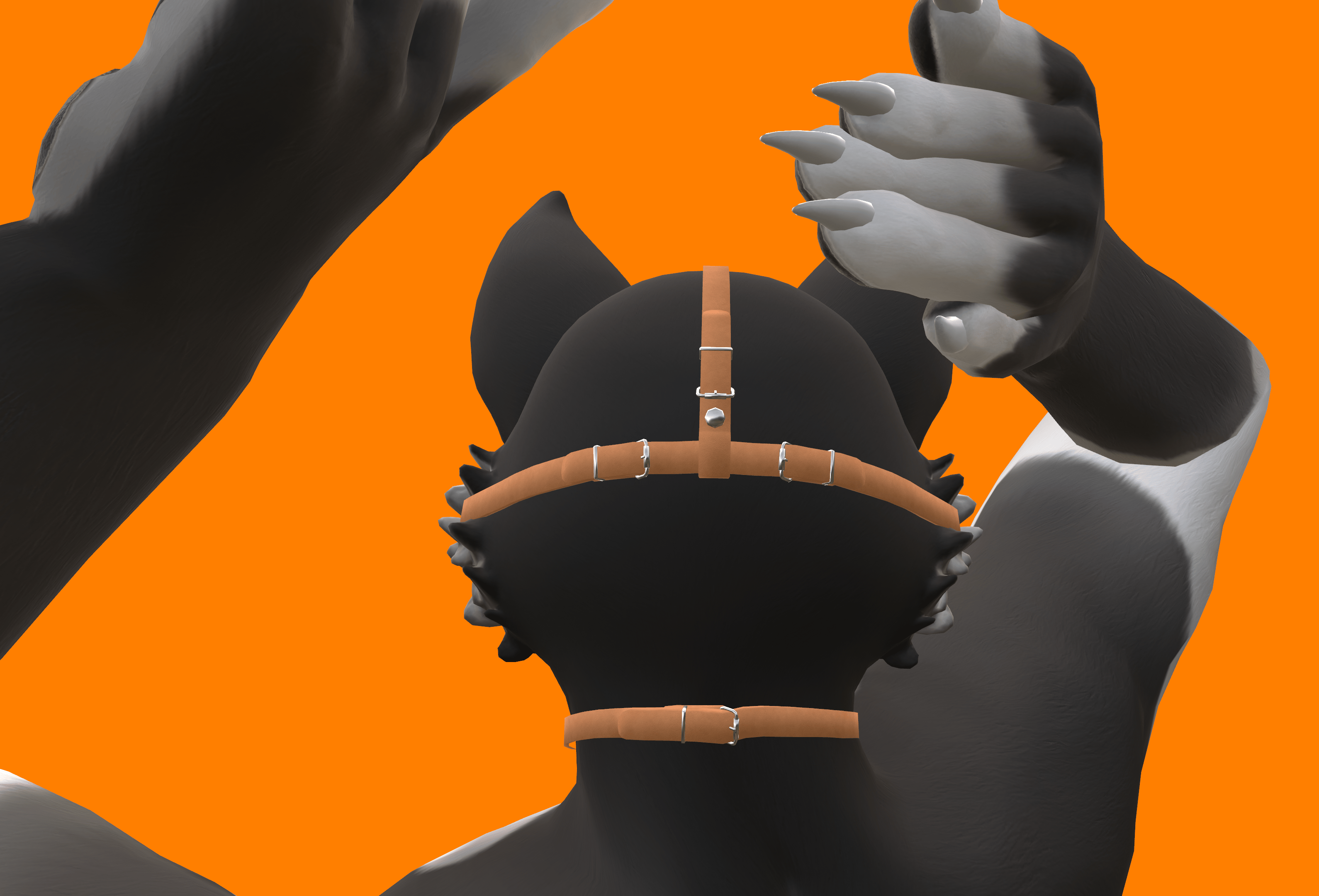 Harness & Muzzle for Chaos Canine