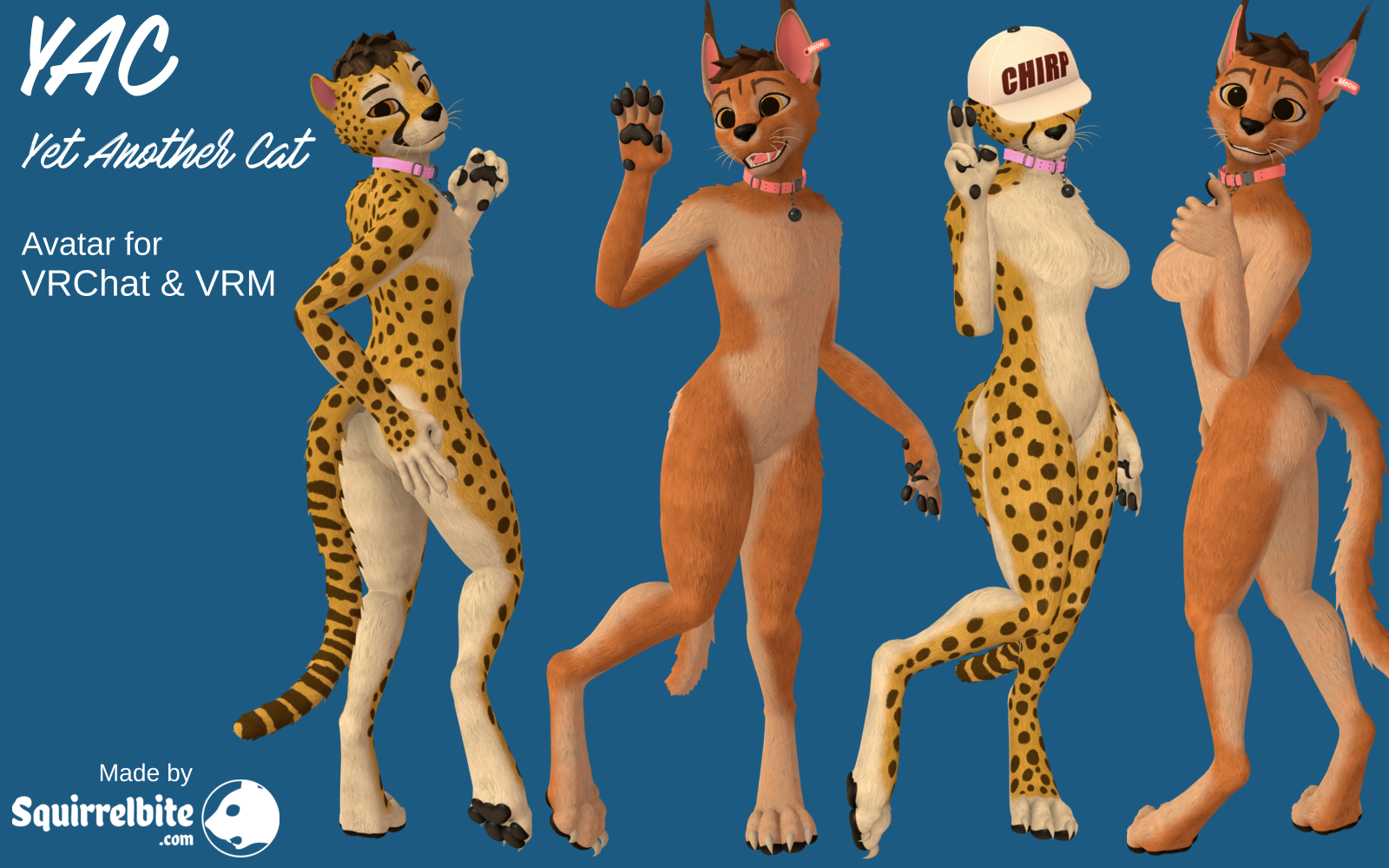 YAC - Yet Another Cat