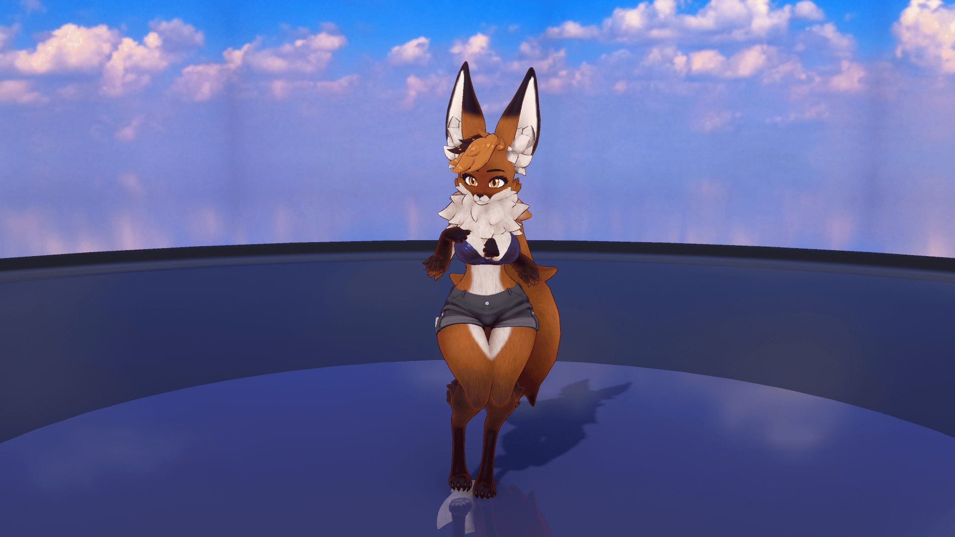 BallerFox Foxy bundle