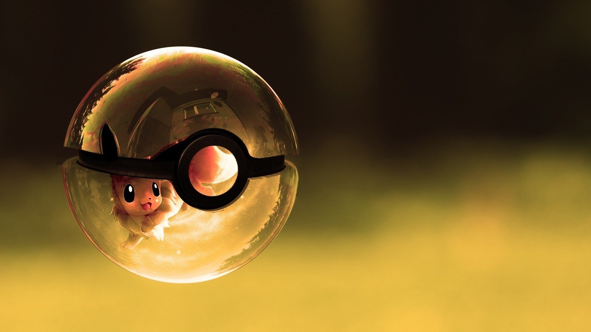 Banner Background
