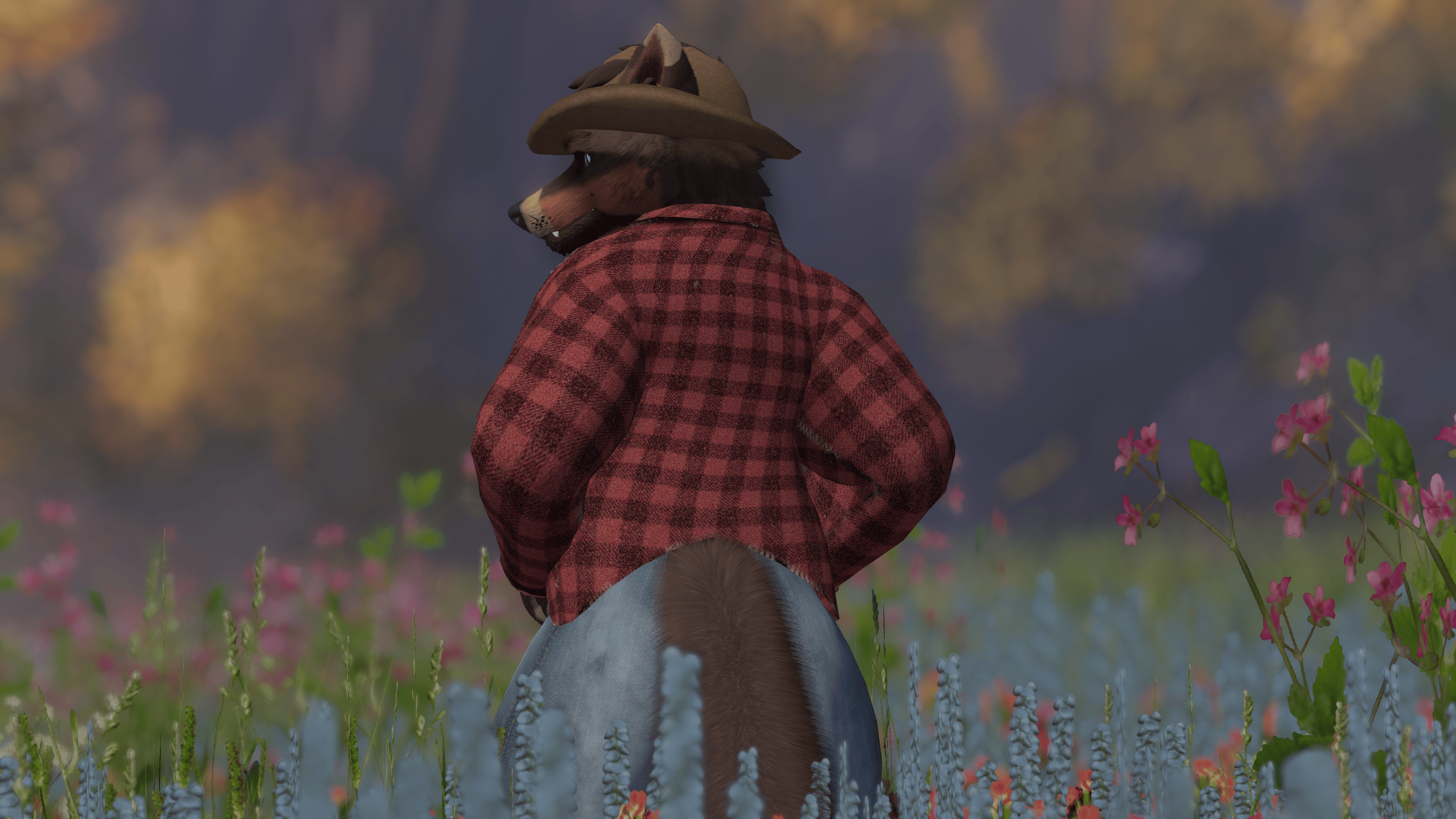 Rust Whisker and Canis Revamp Cowboy Set