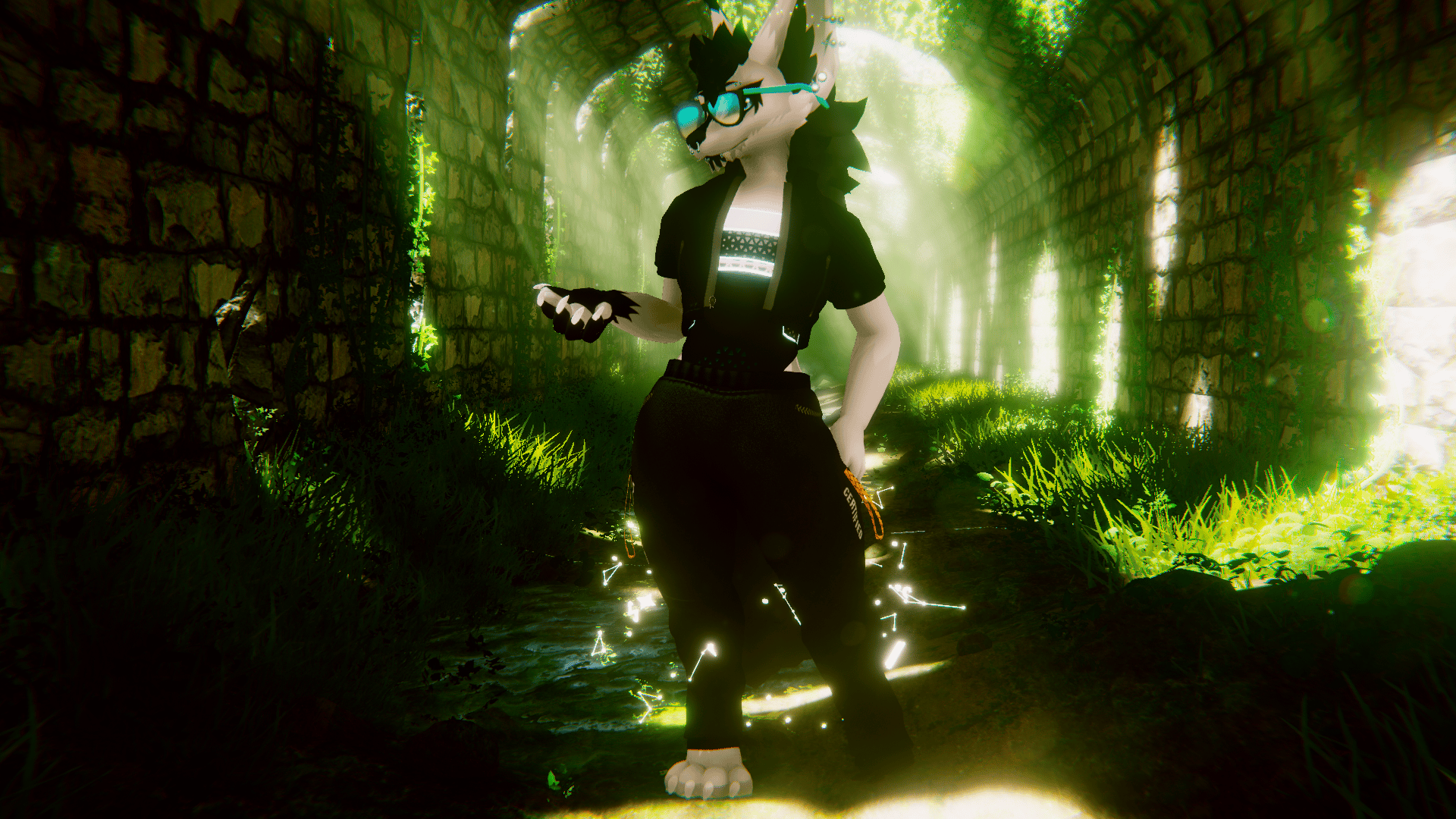 Banner Background