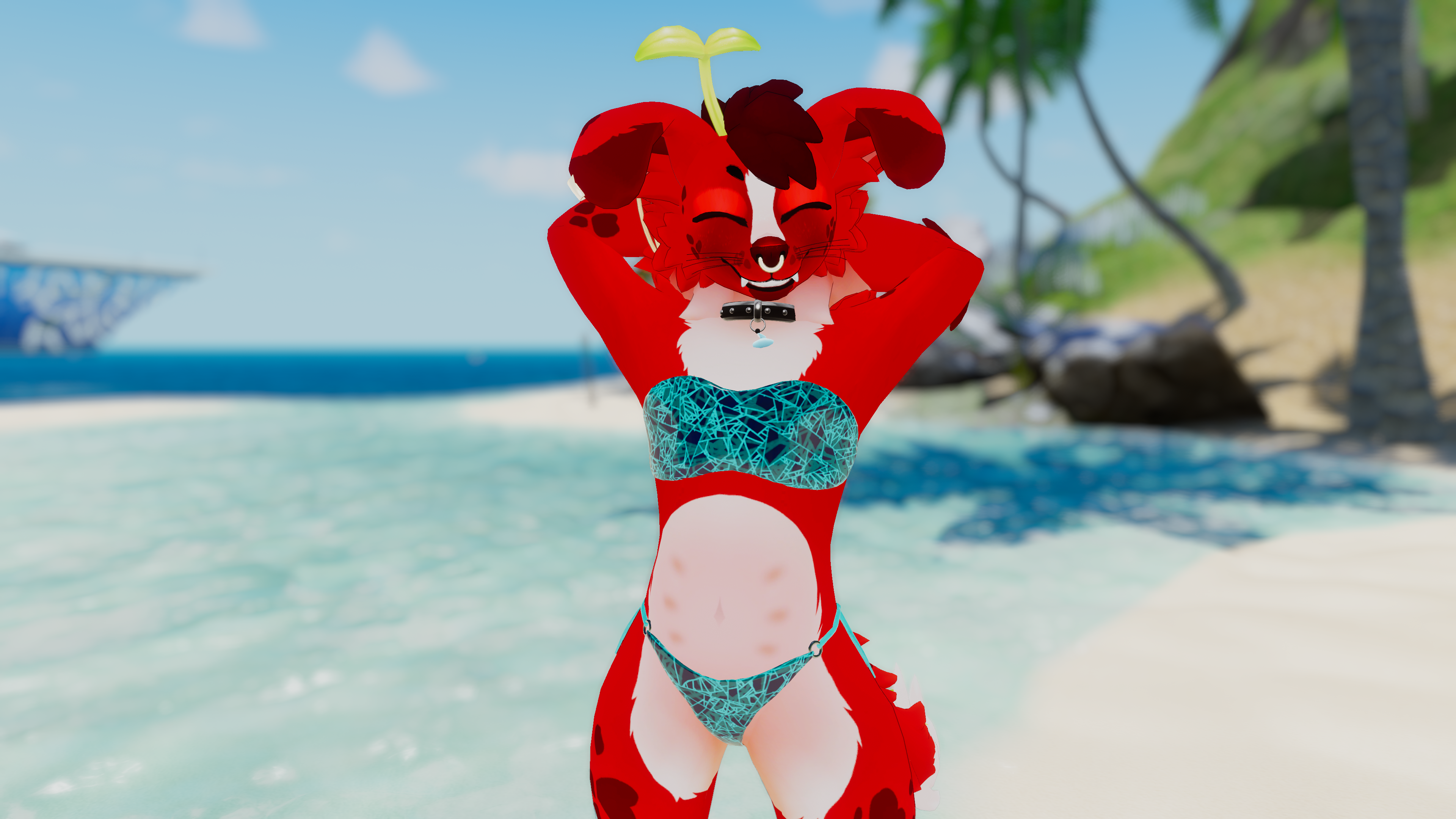 Chlorokit/Chloropup Swimwear