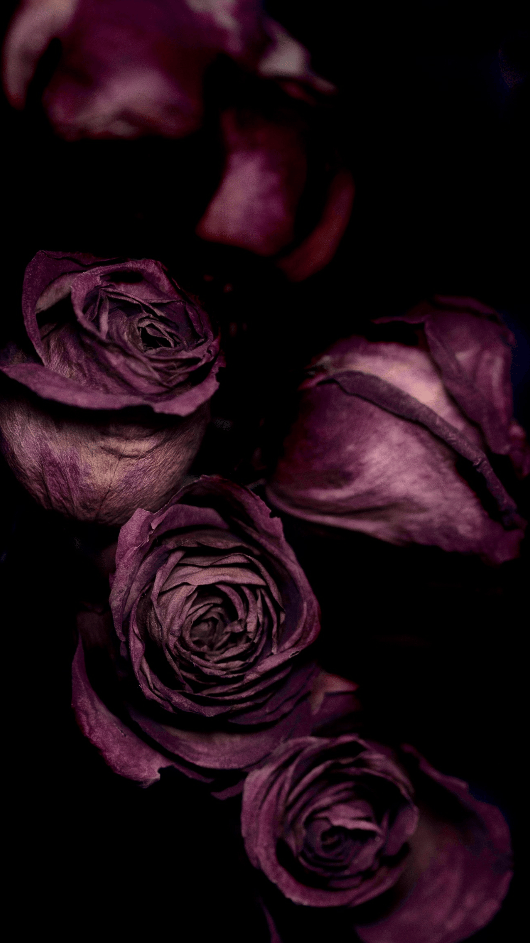 Banner Background