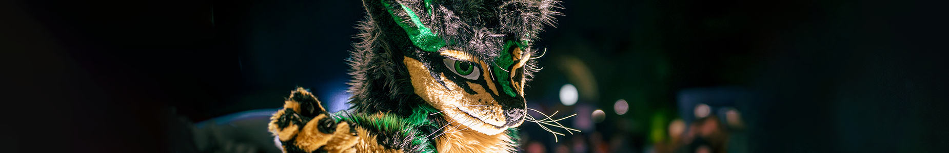 Banner Background