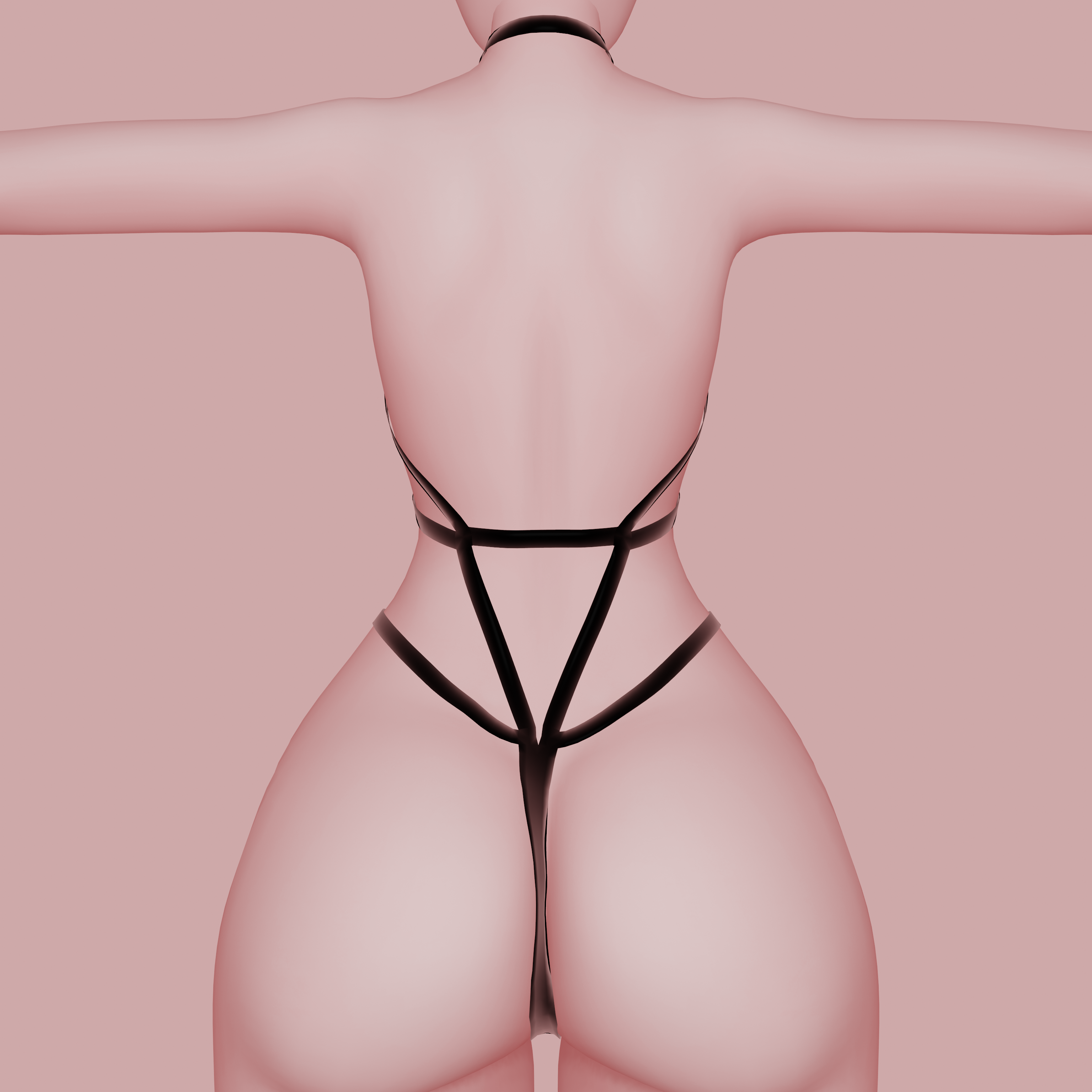 Harness