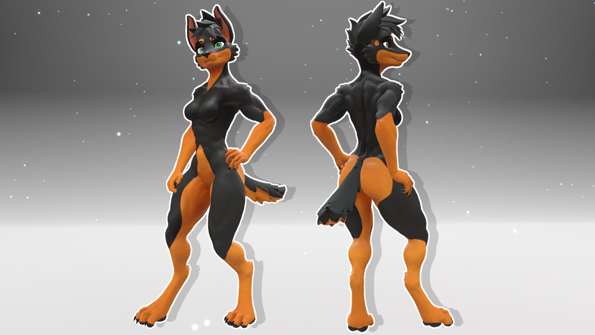 Doberman - Viwi Textures