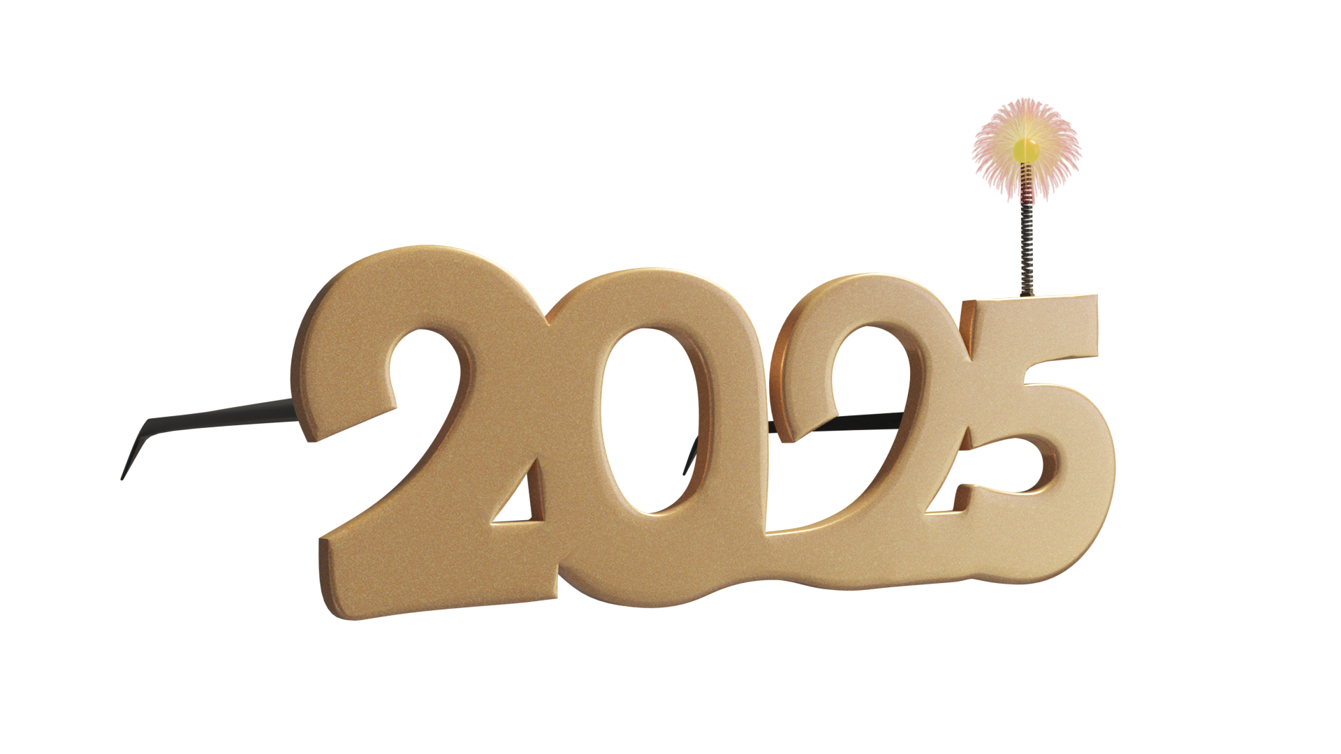 Shitty 2025 Glasses