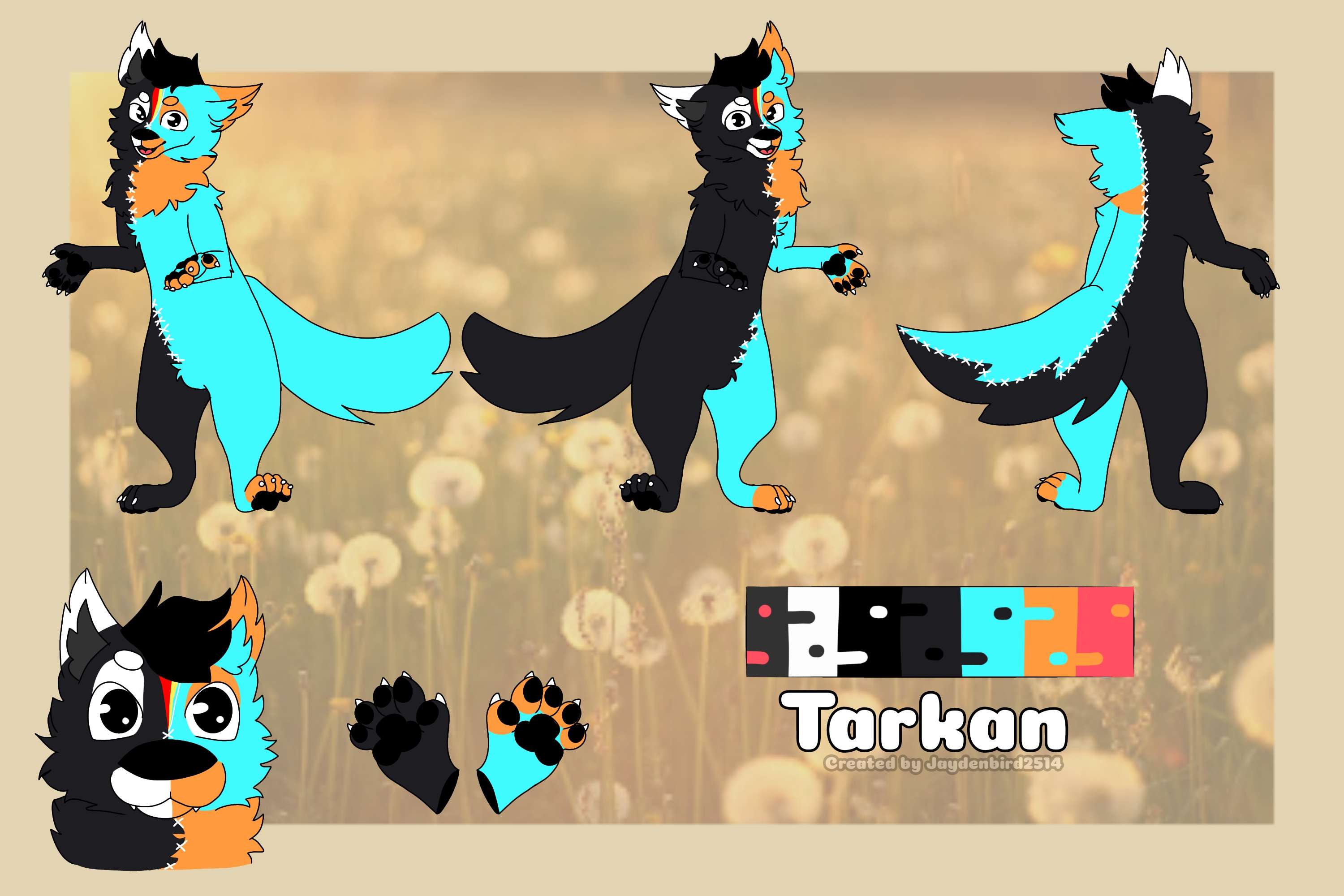 Banner Background