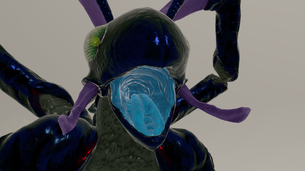 Bug Friend