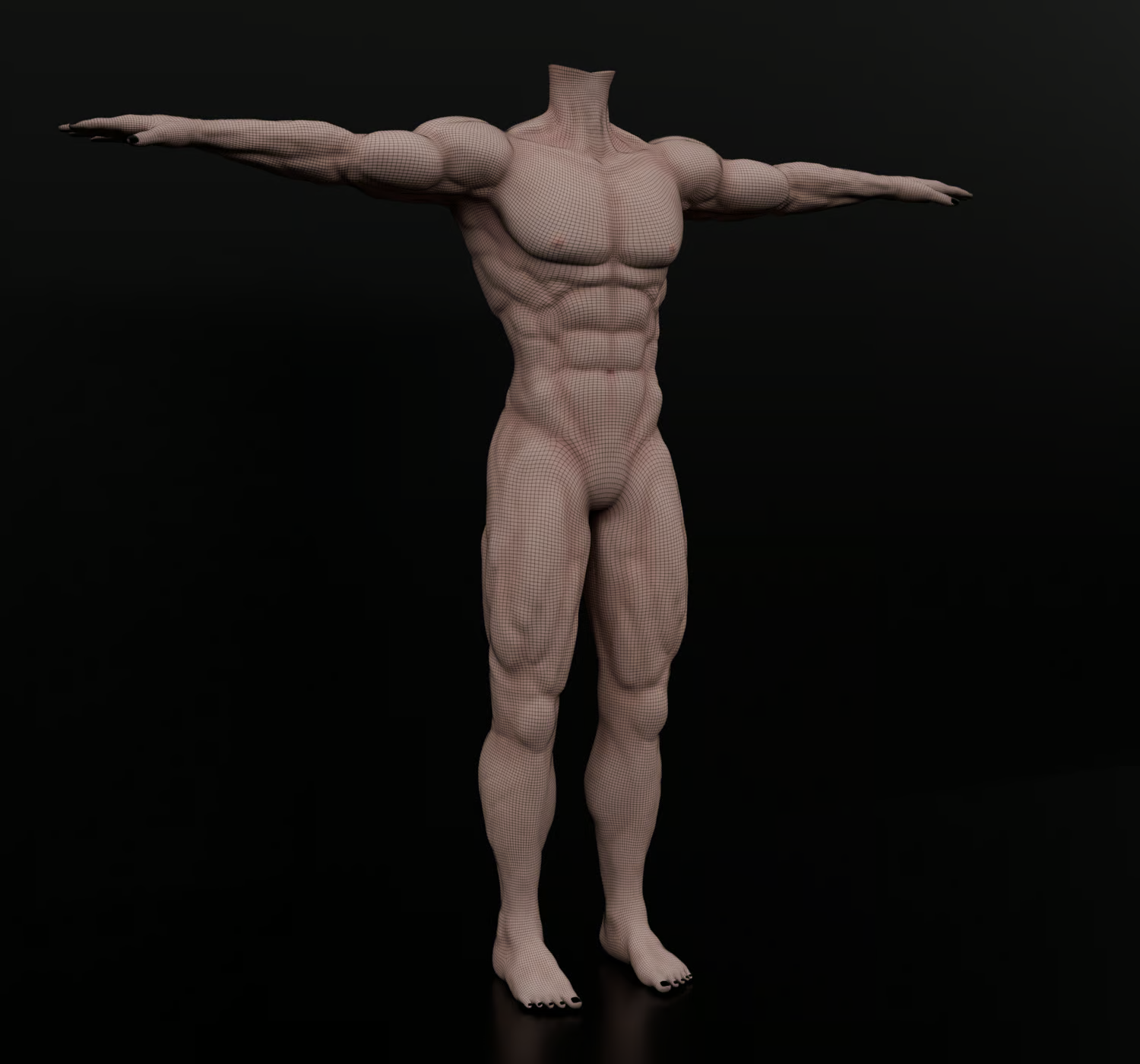 OWNER BASE V 2.0