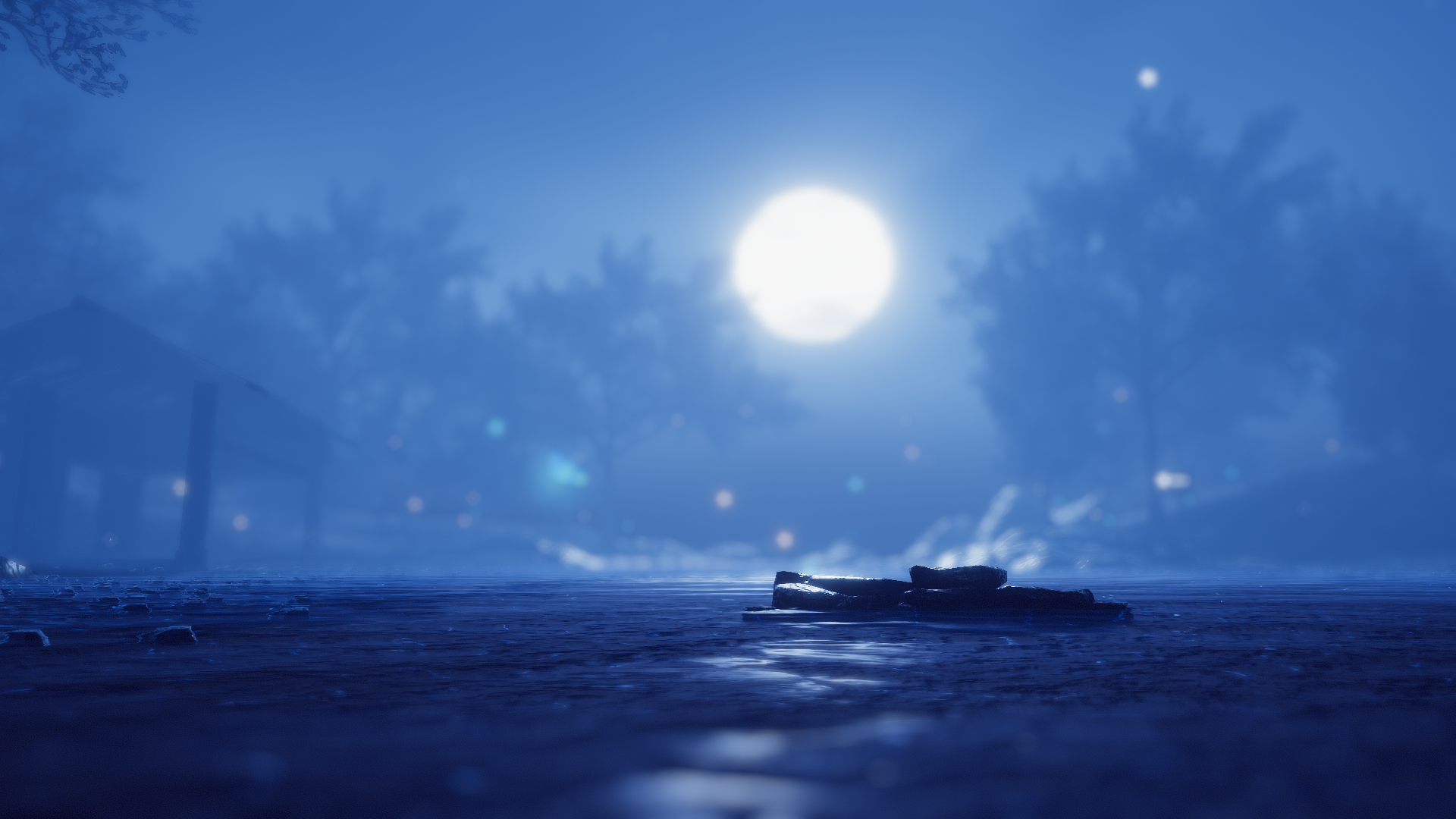 Banner Background