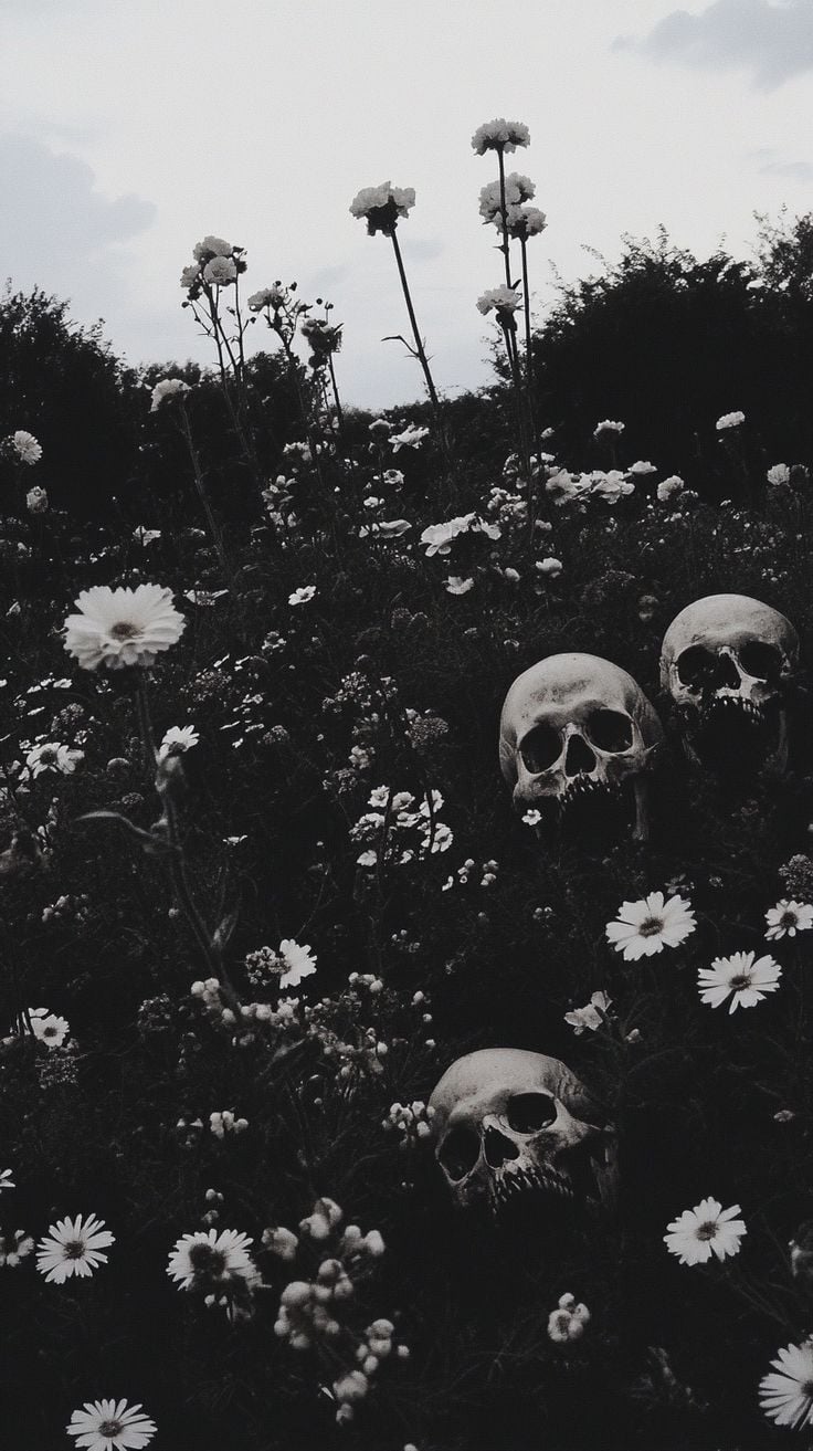 Banner Background