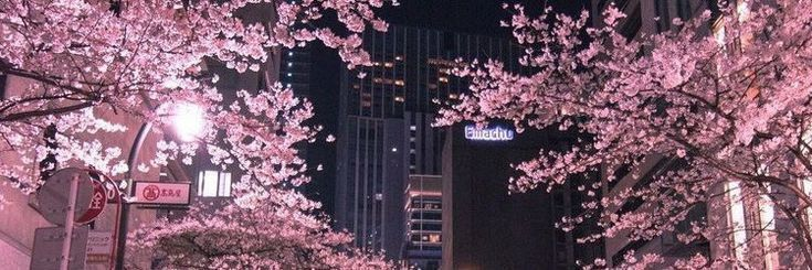 배너 배경