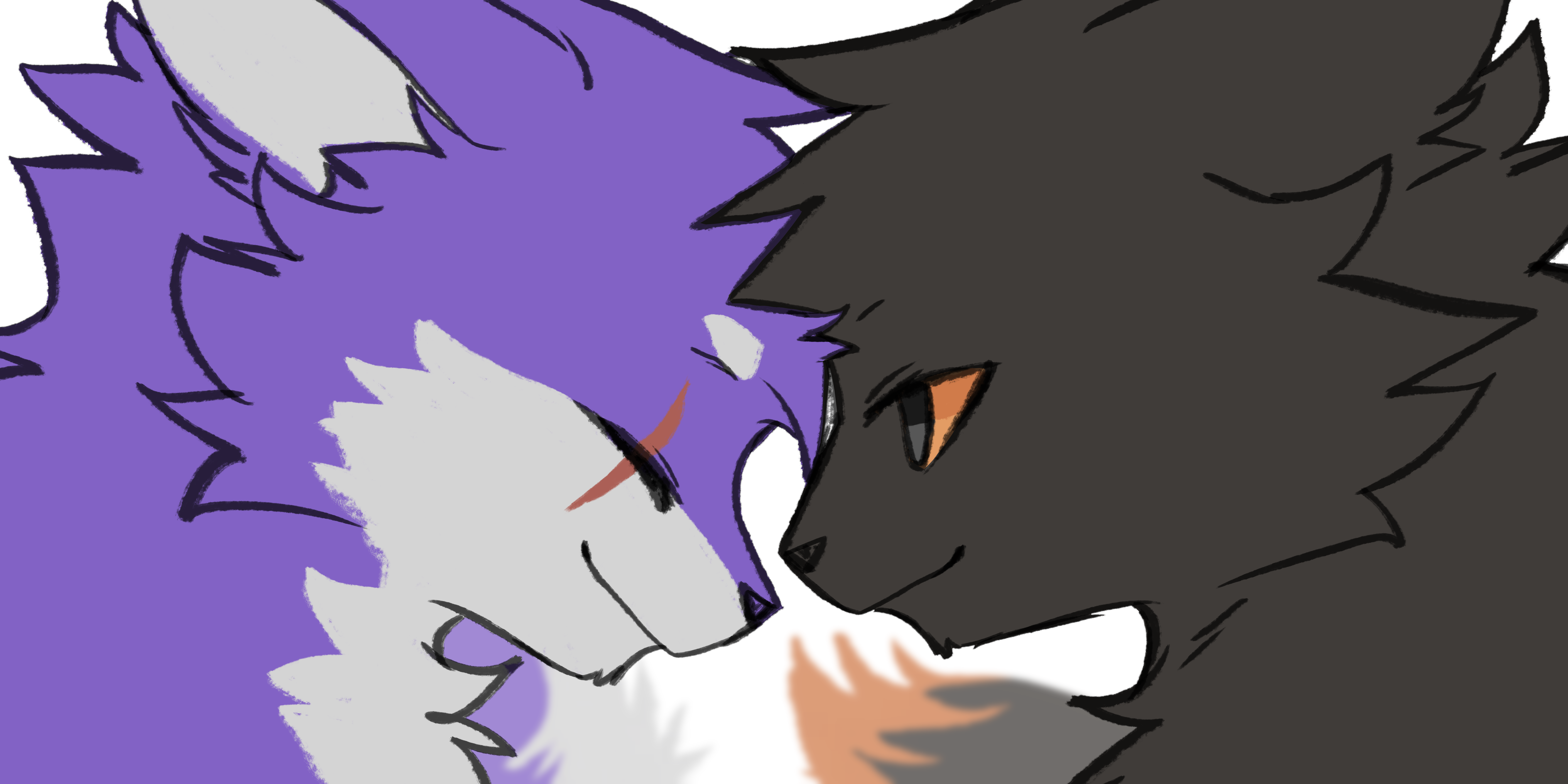 Fondo del banner