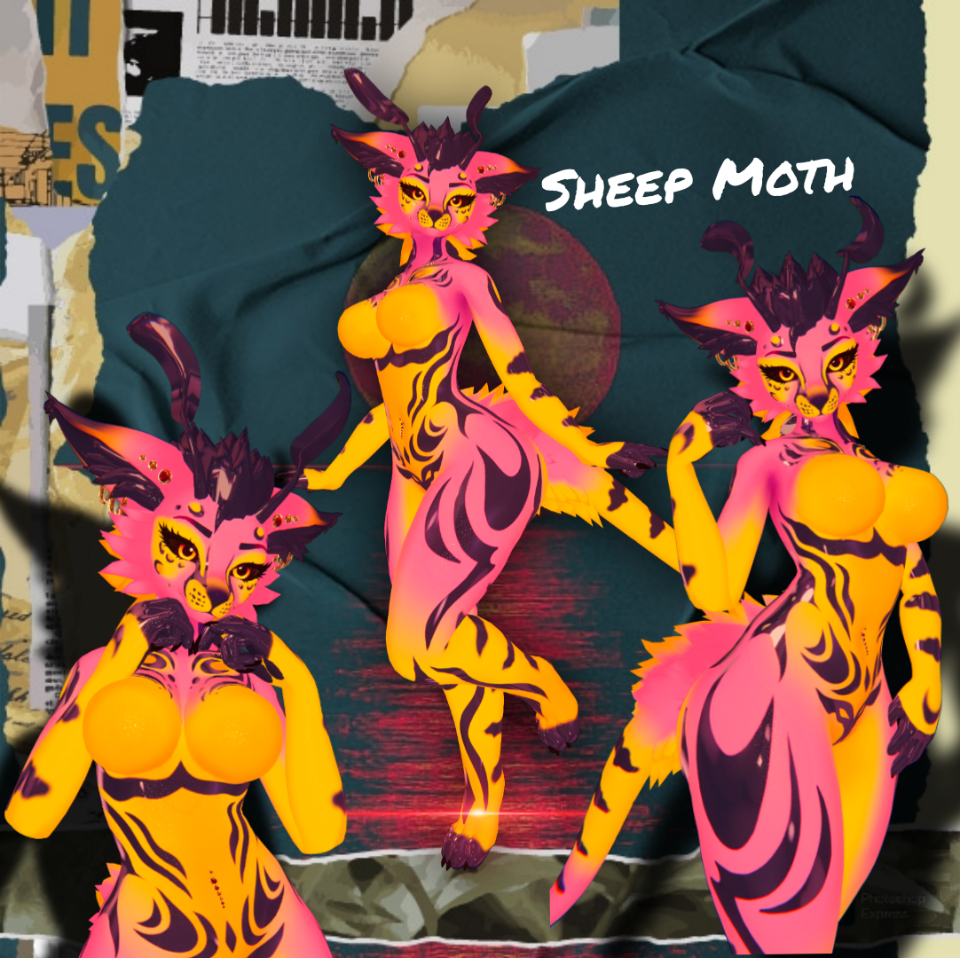 Sheep Moth - Fox Moth