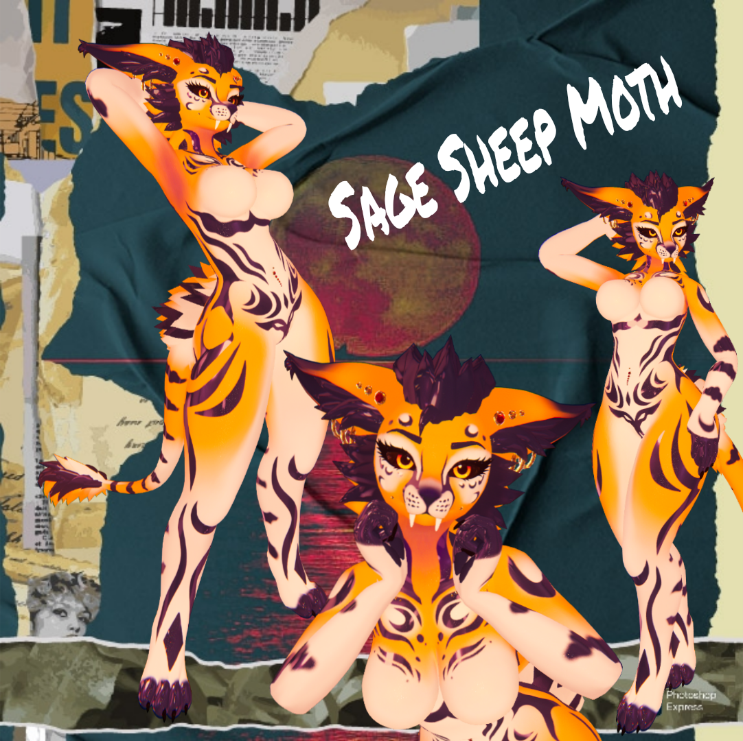 Sheep Moth - Fox Moth