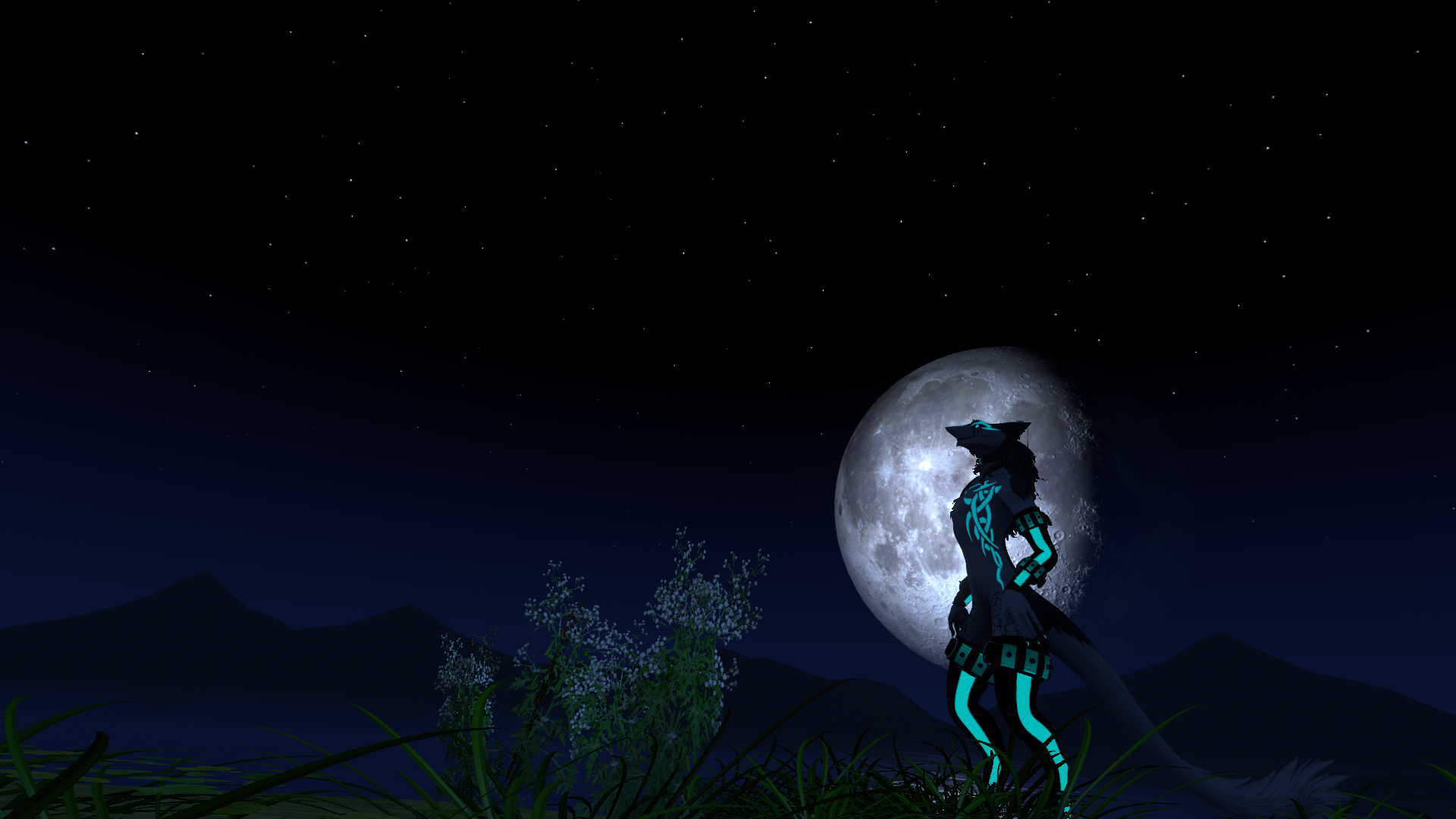 Banner Background