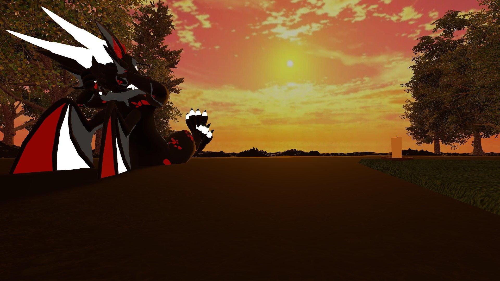 Banner Background