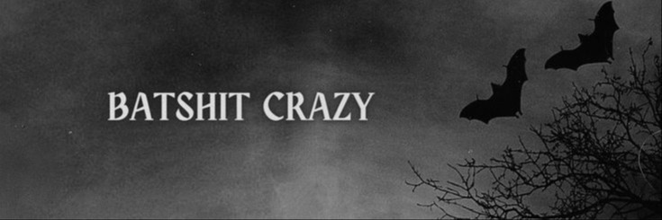 Banner Background