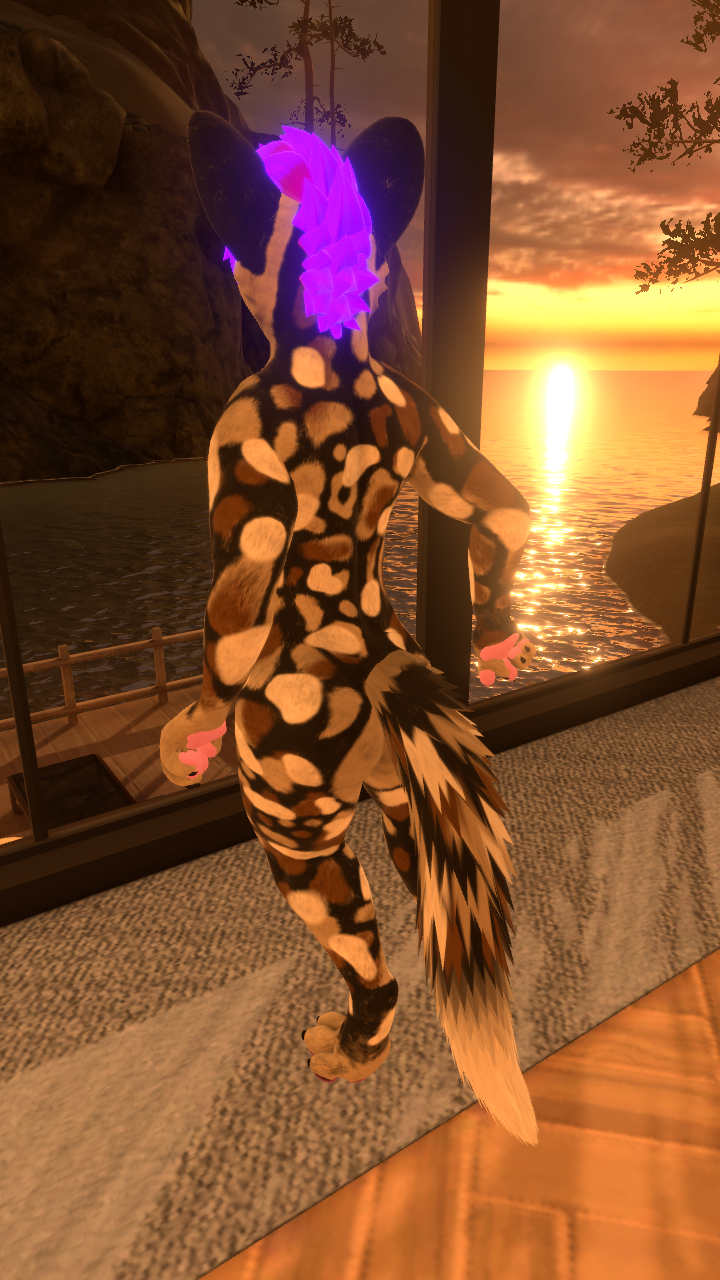 Ezra´s Canis Woof Wild Dog Texture