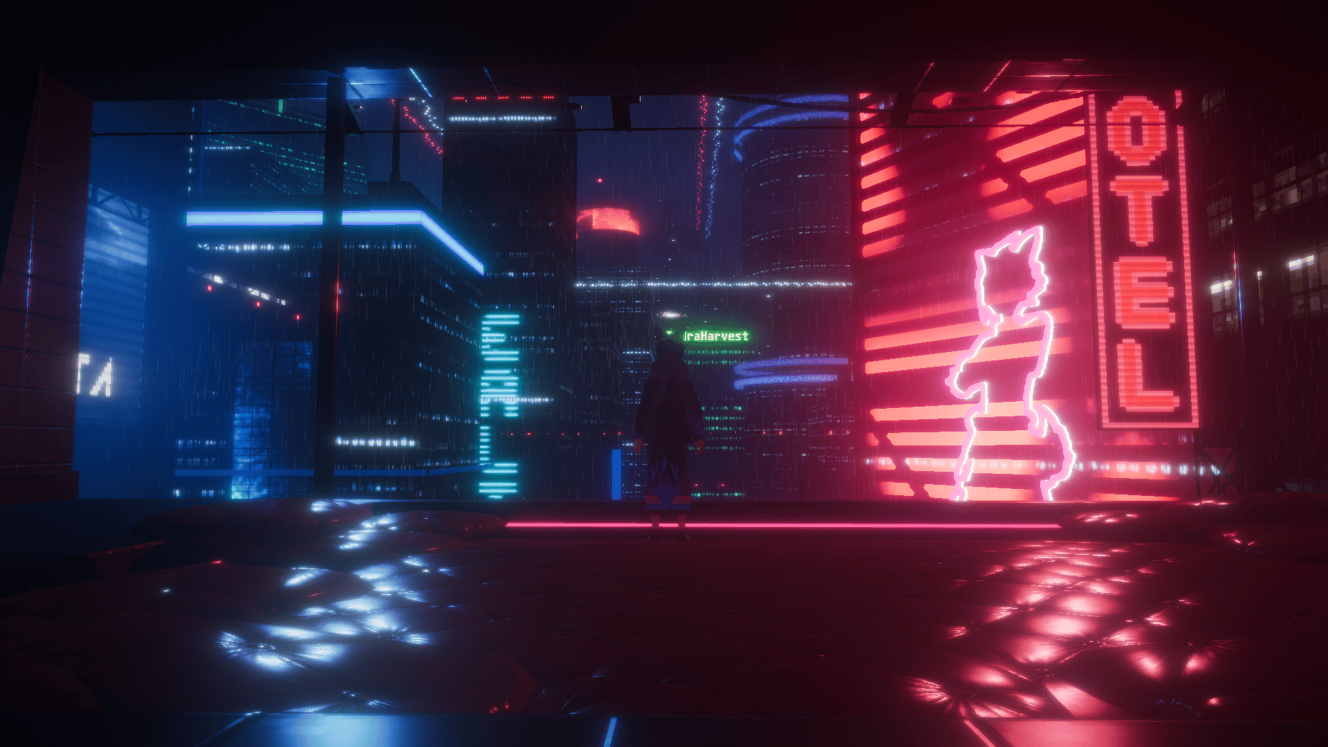 Banner Background