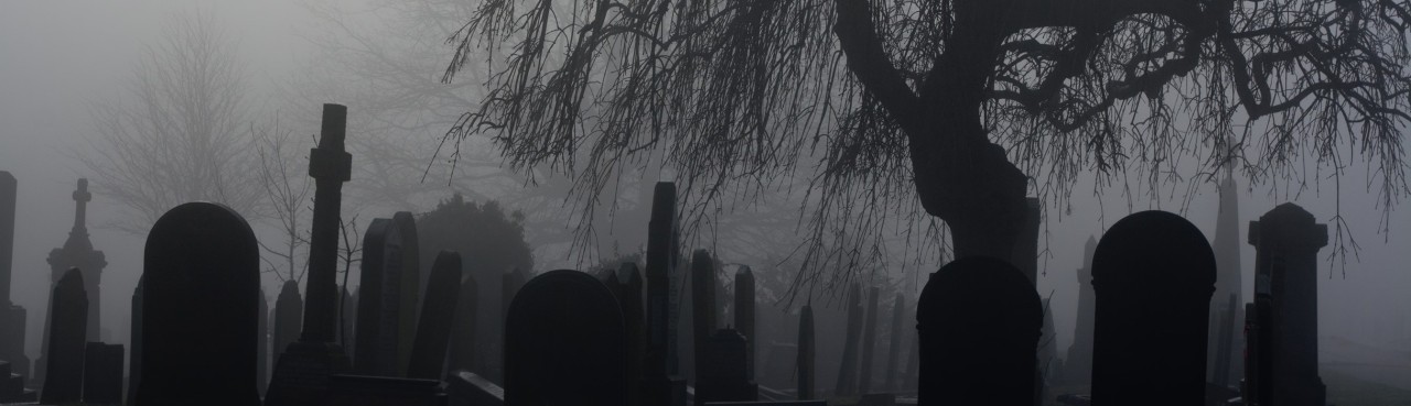 Banner Background