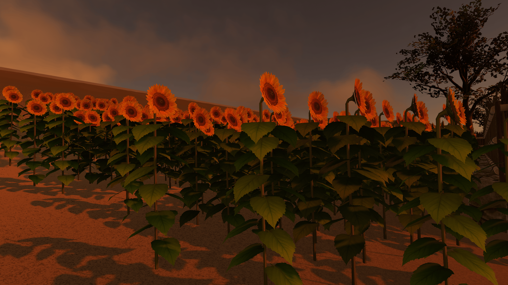 Banner Background
