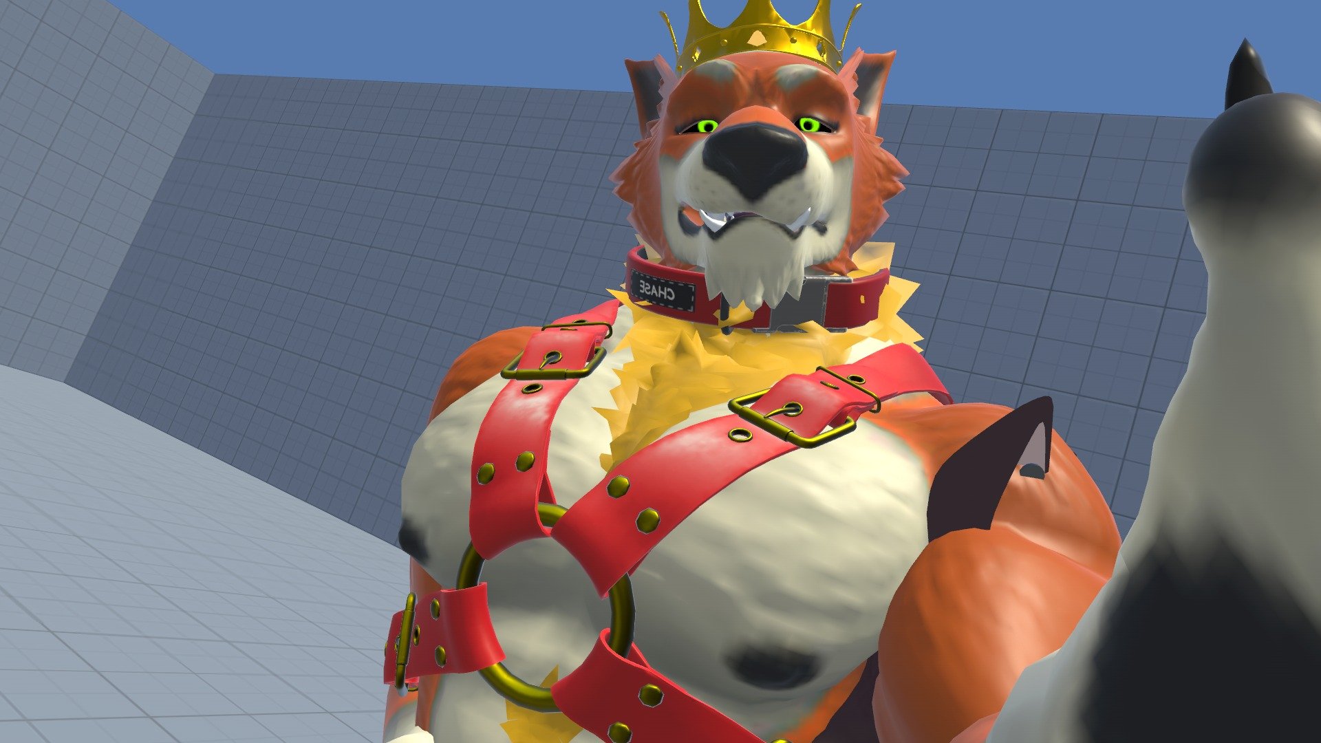 Banner Background