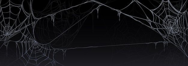Banner Background