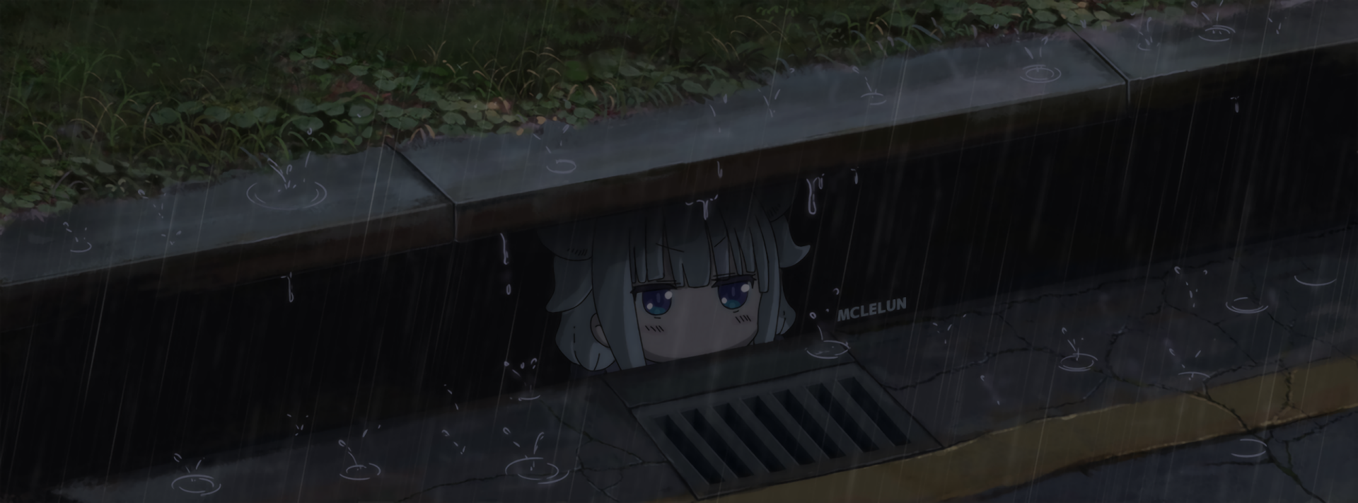 Banner Background