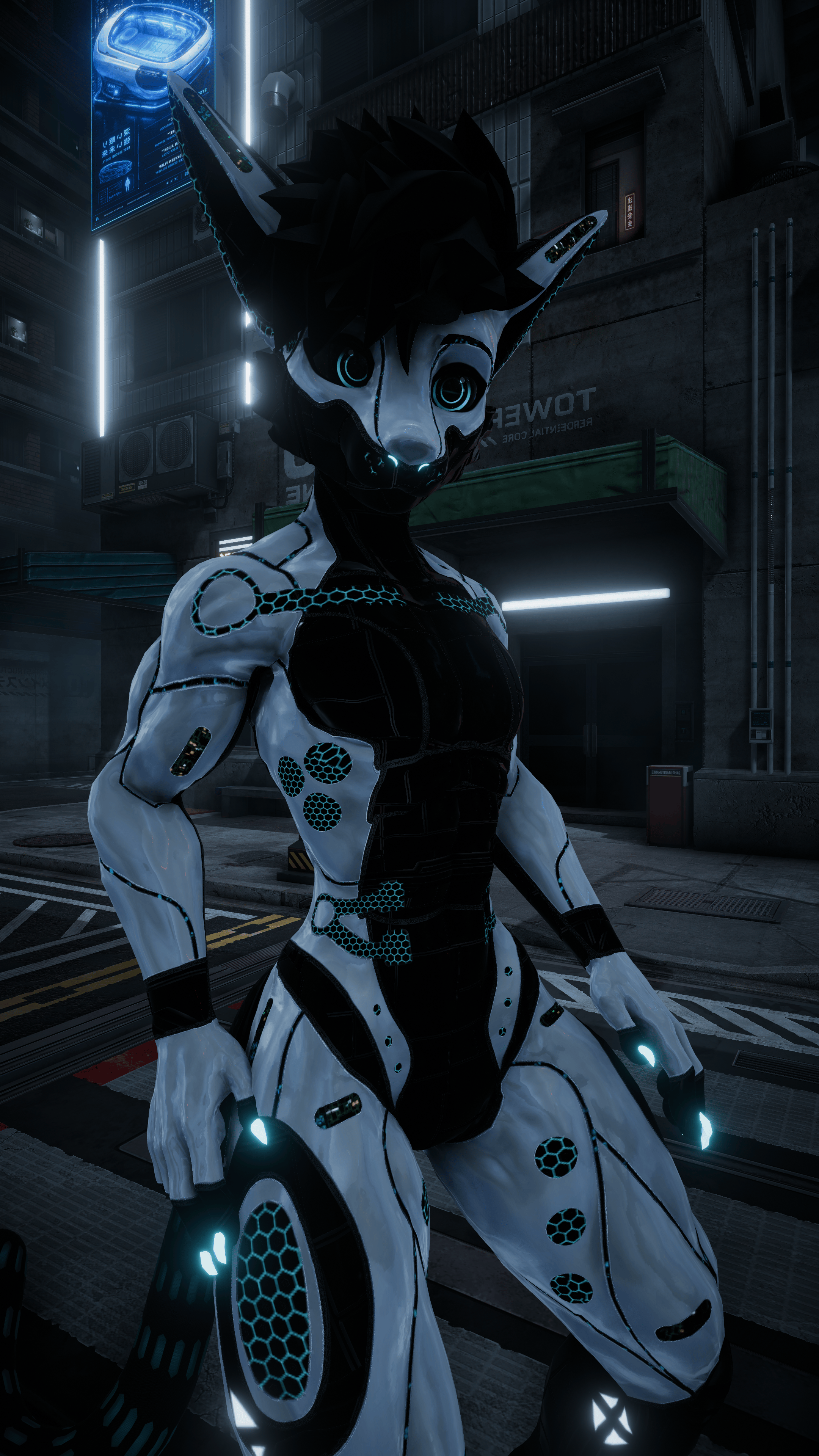 Robotic Viwi