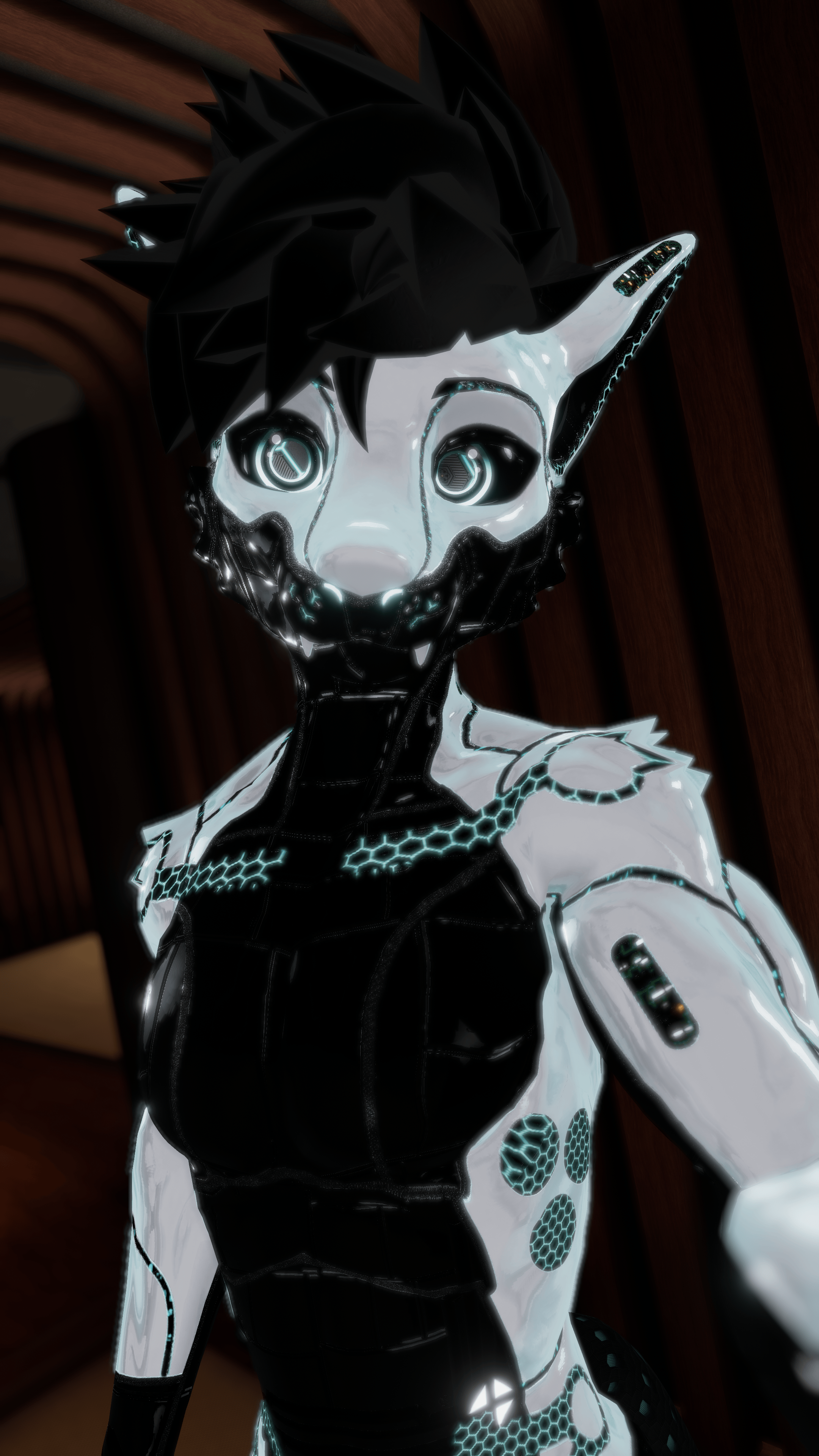Robotic Viwi