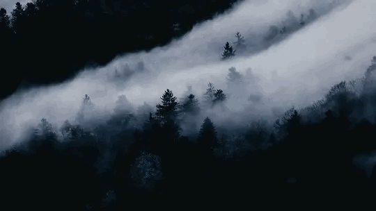 Banner Background