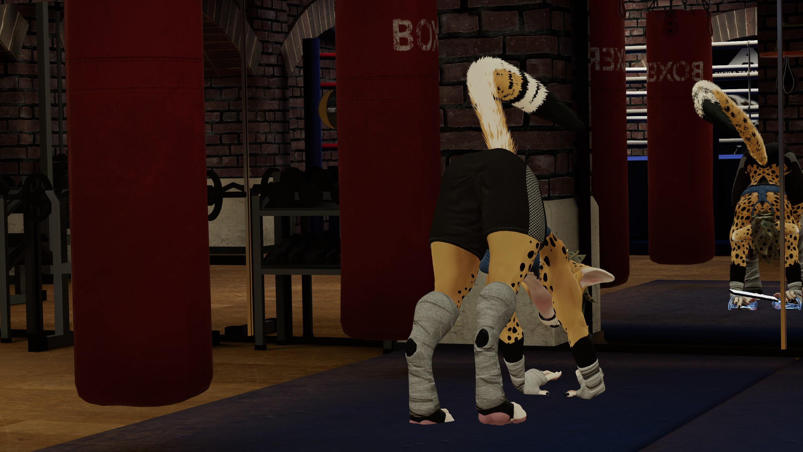 Viwi Workout Set