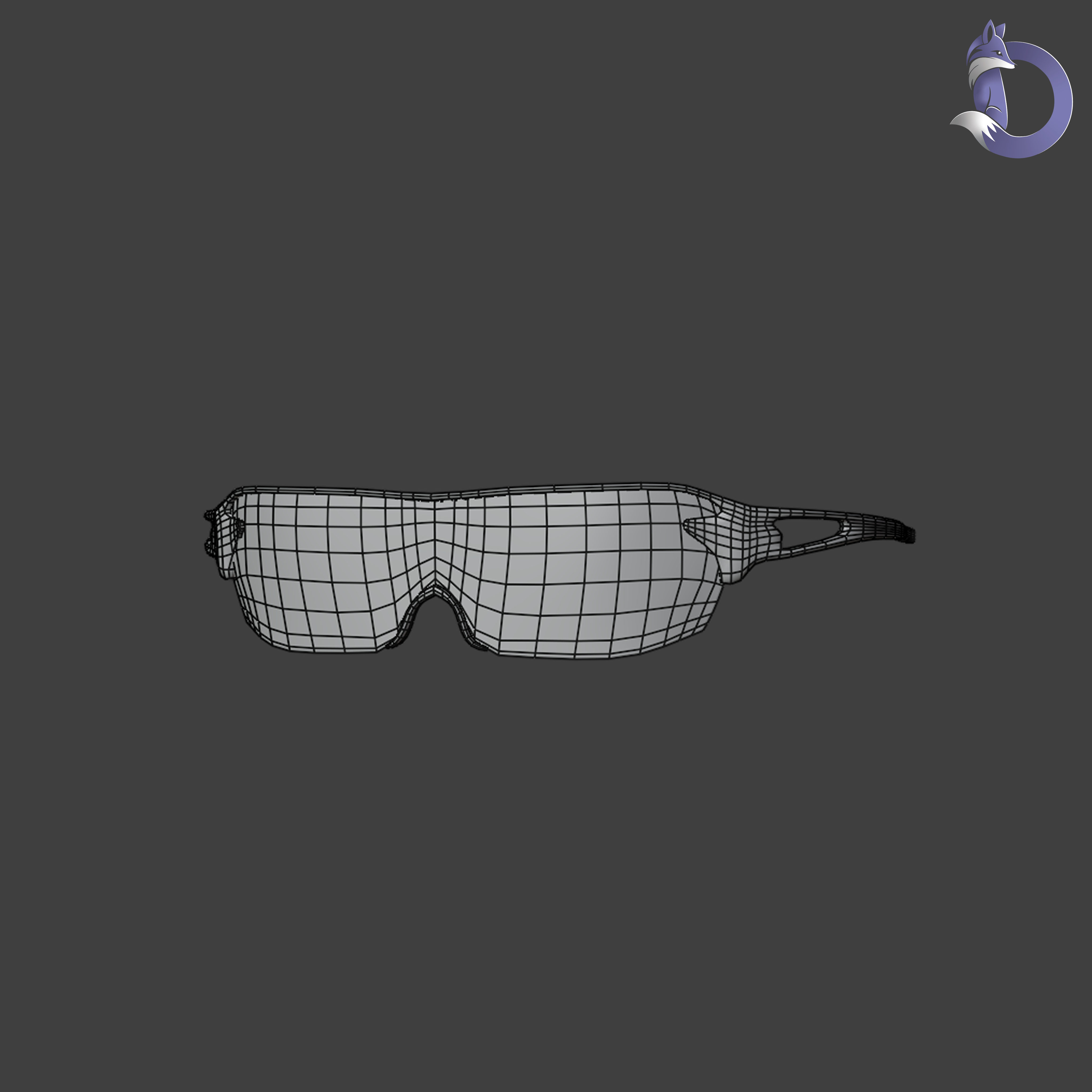 Dinzee's Sports Sunglasses