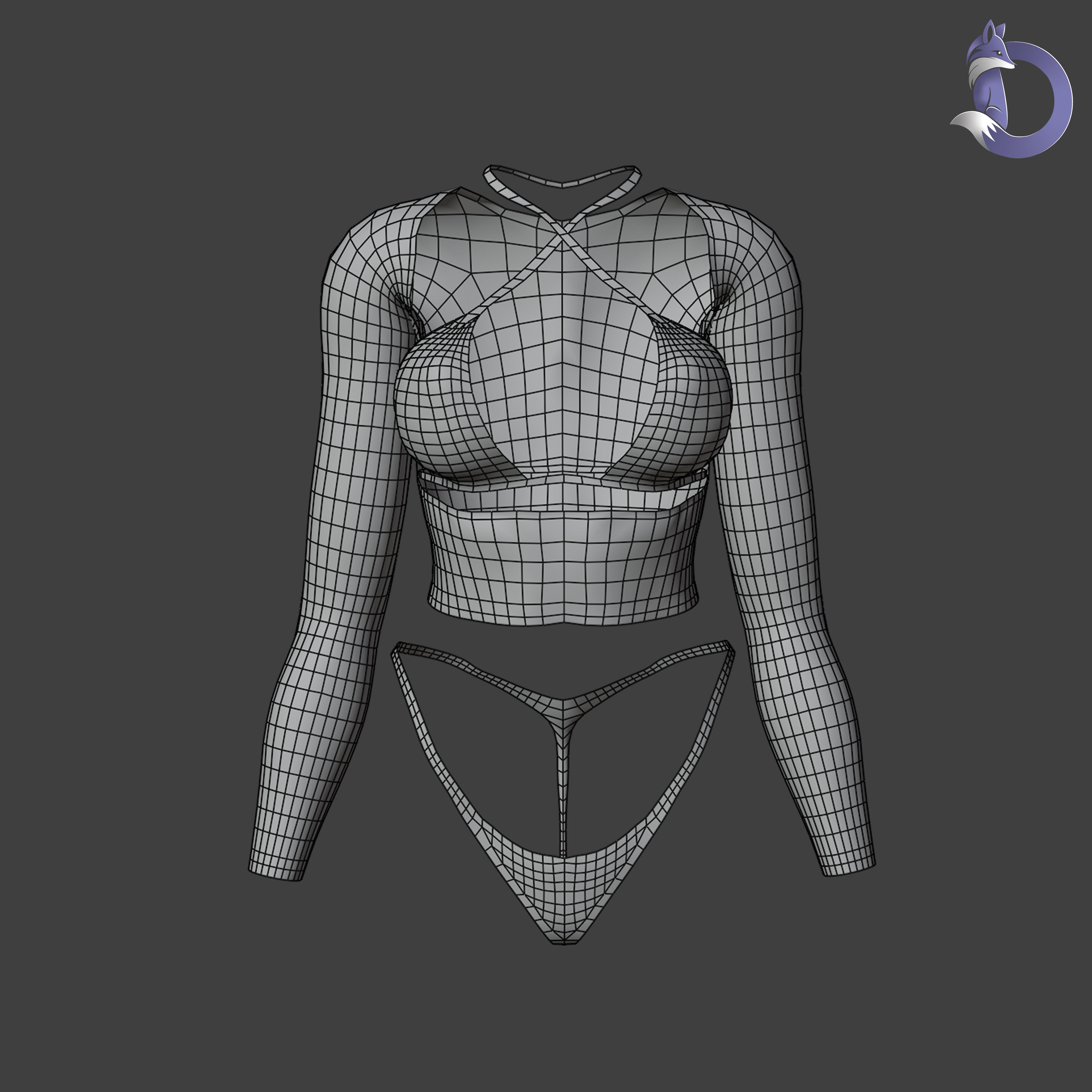 Dinzee's Mesh Top