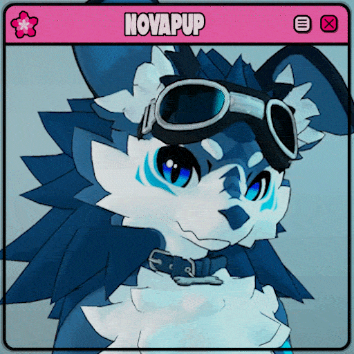 NovaPup