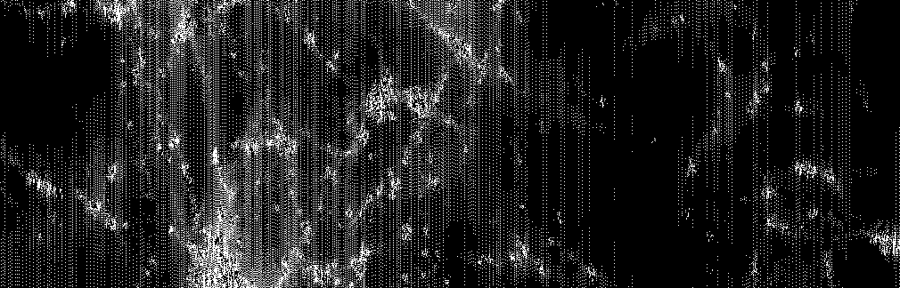 Banner Background