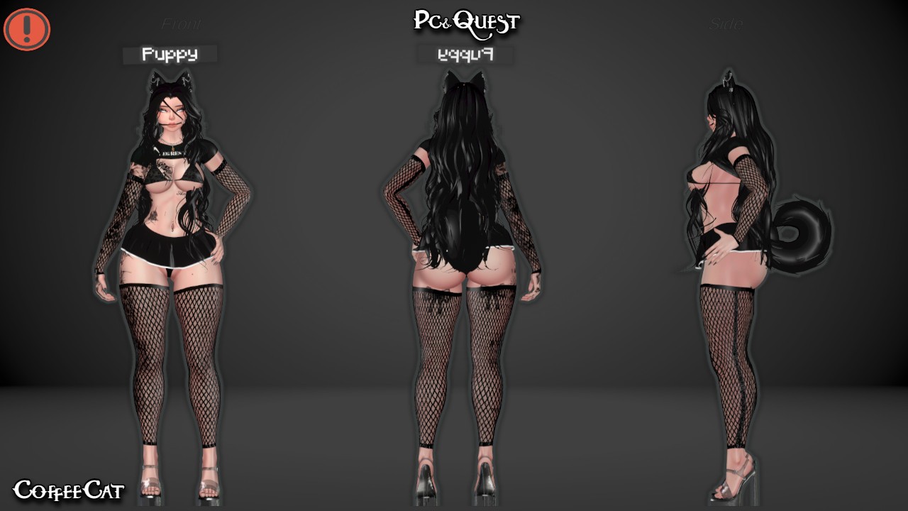 Brandy PC+QUEST (SPS + GoGoLoco)