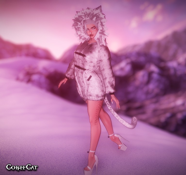 ₊˚。⋆❆⋆。˚₊ Lumi The Snow Leopard ₊˚。⋆❆⋆。˚₊